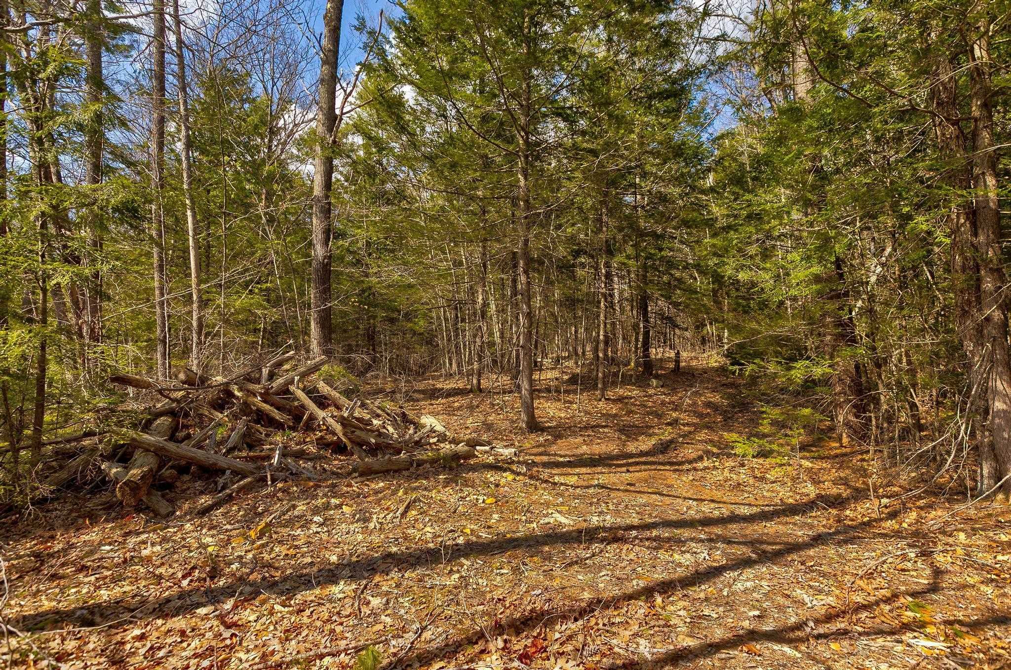 main property photo 40