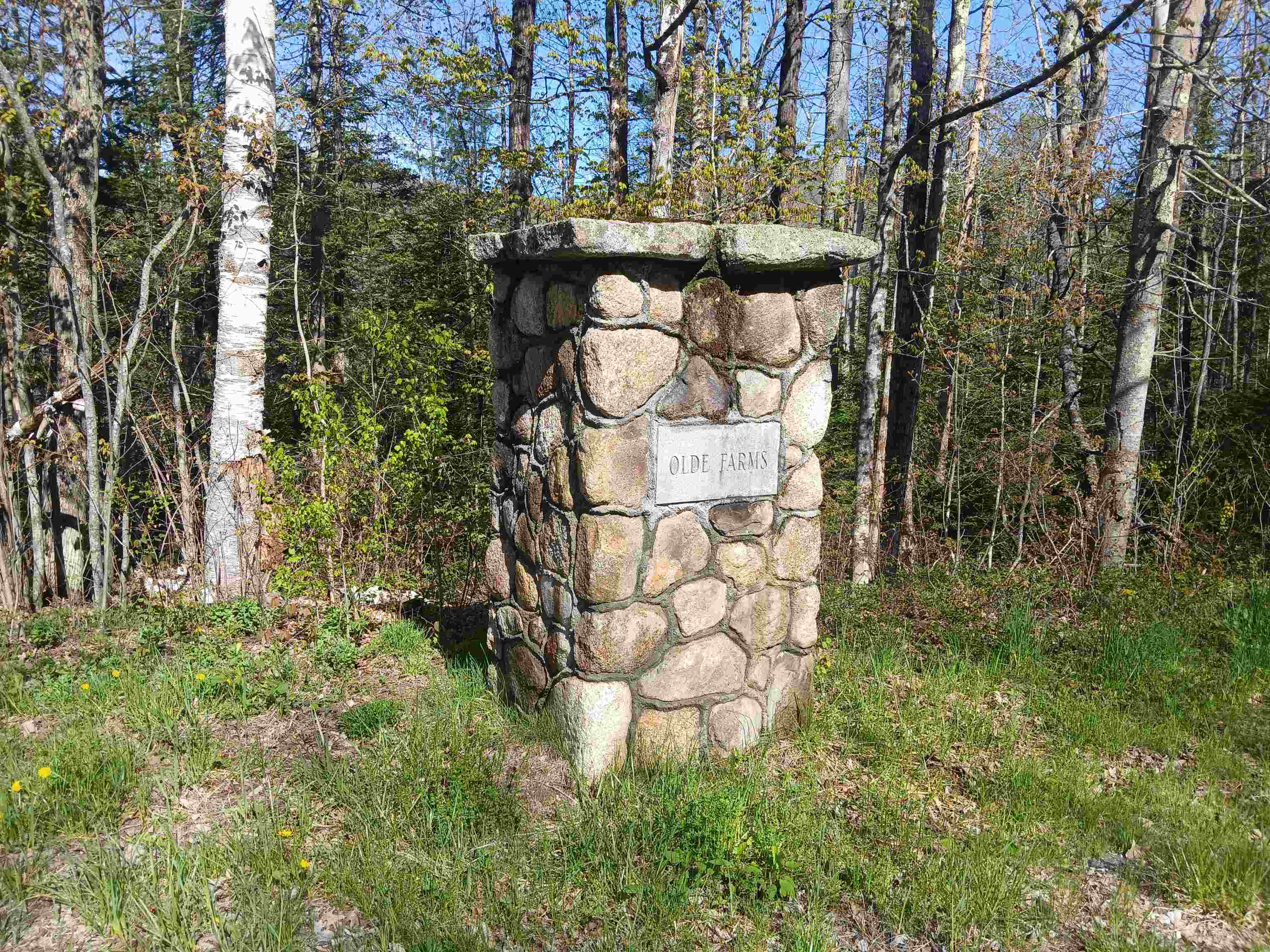 main property photo 56