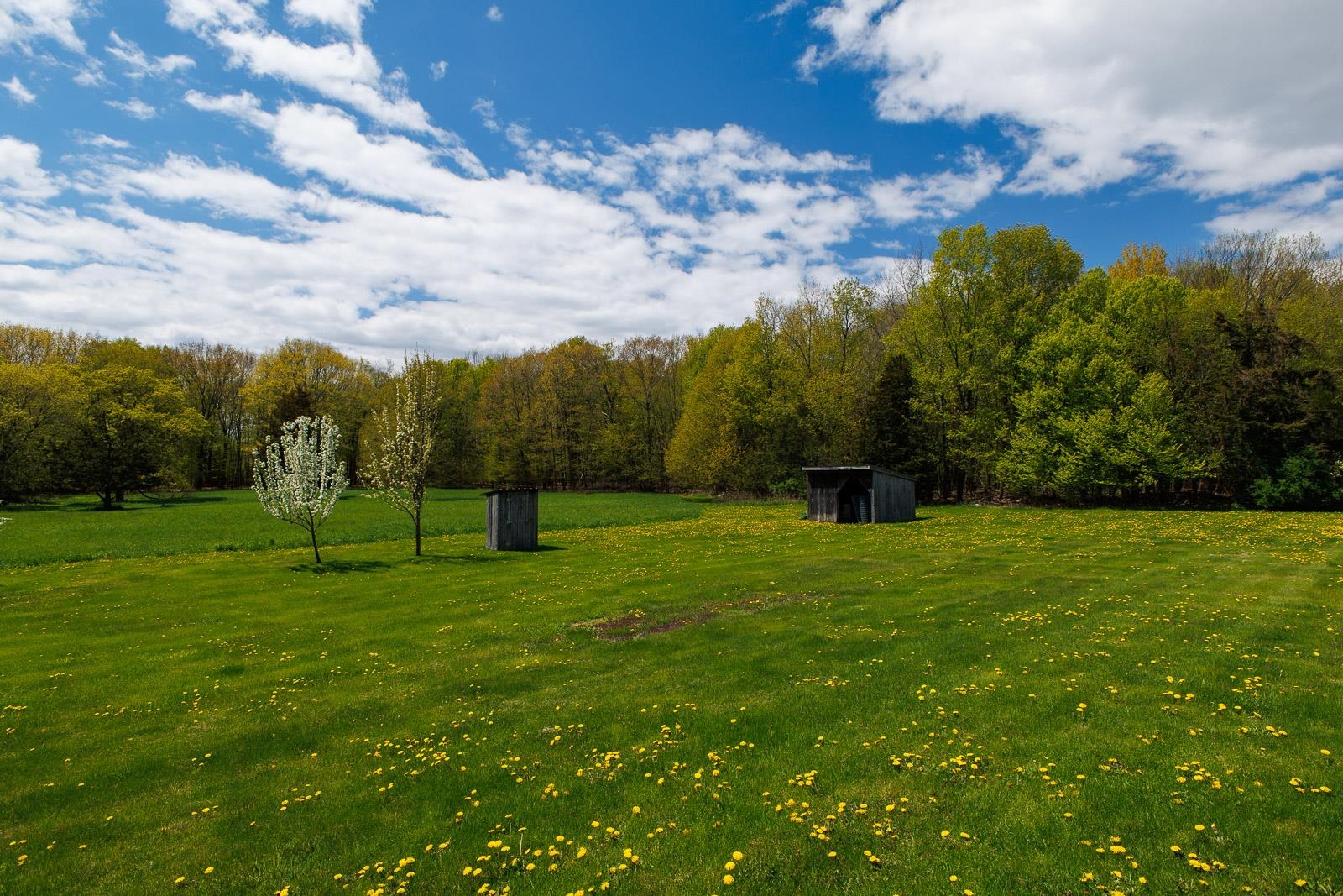 main property photo 55