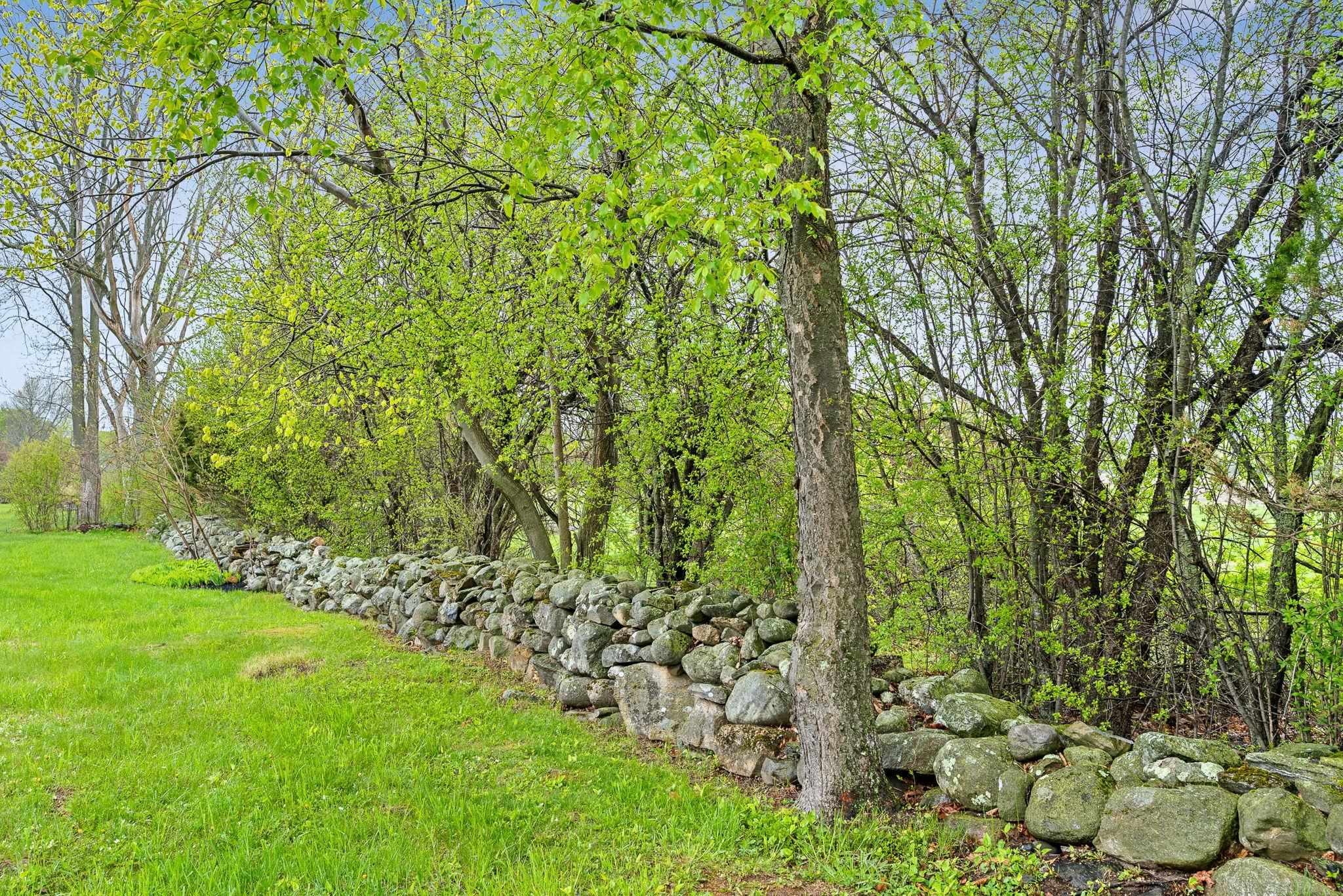 main property photo 54