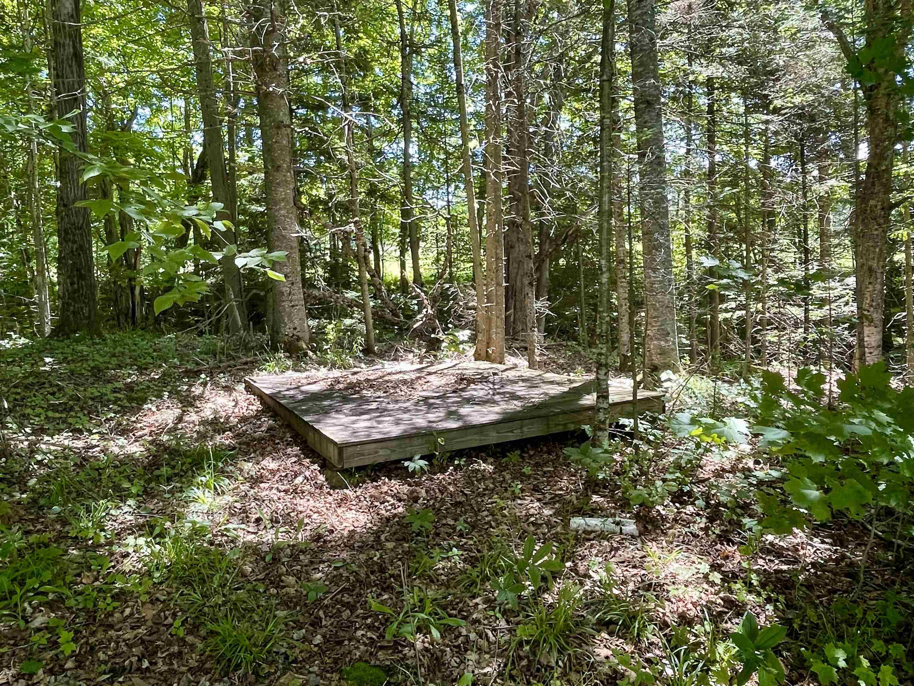 main property photo 36