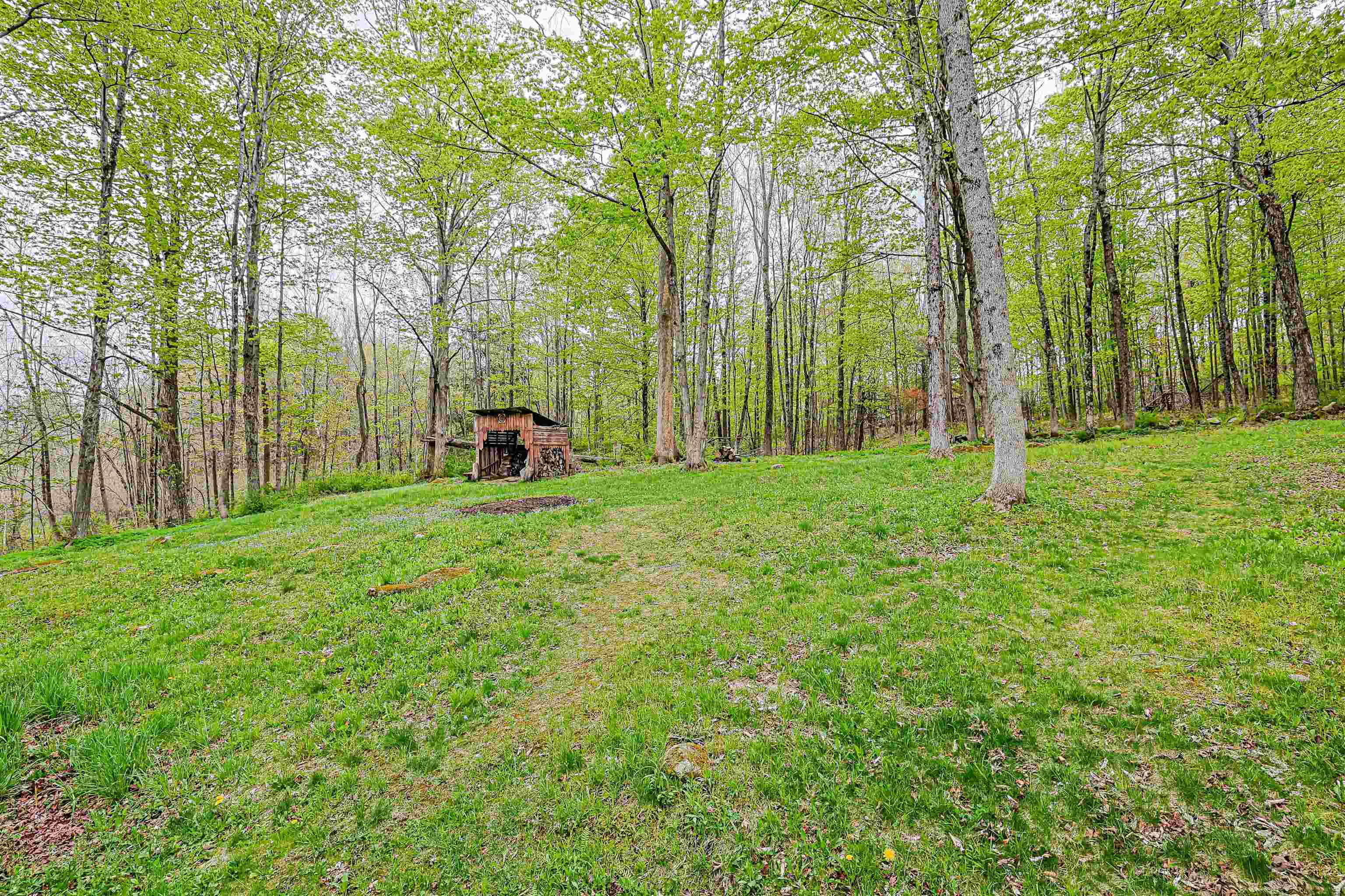 main property photo 55