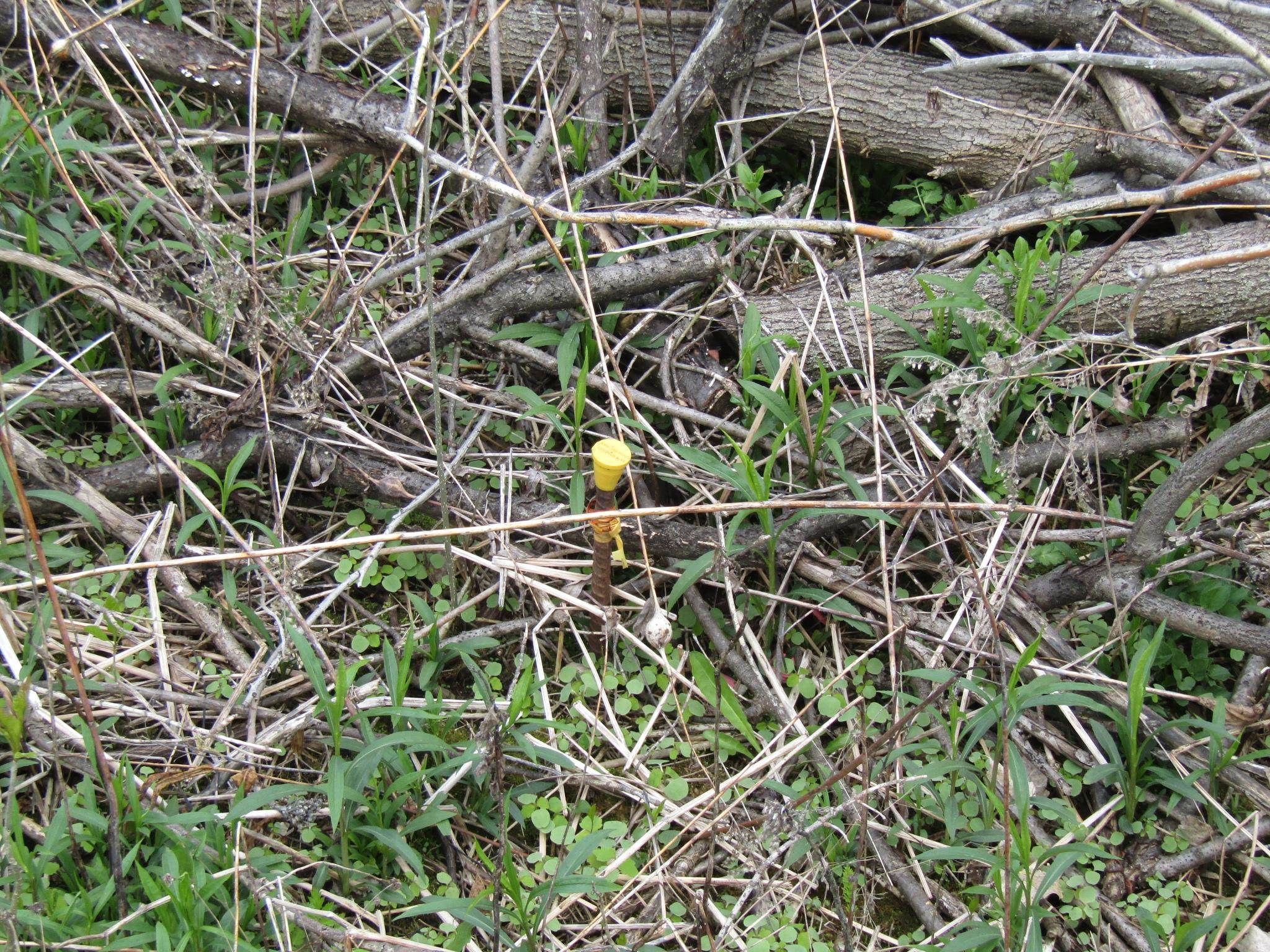 main property photo 11