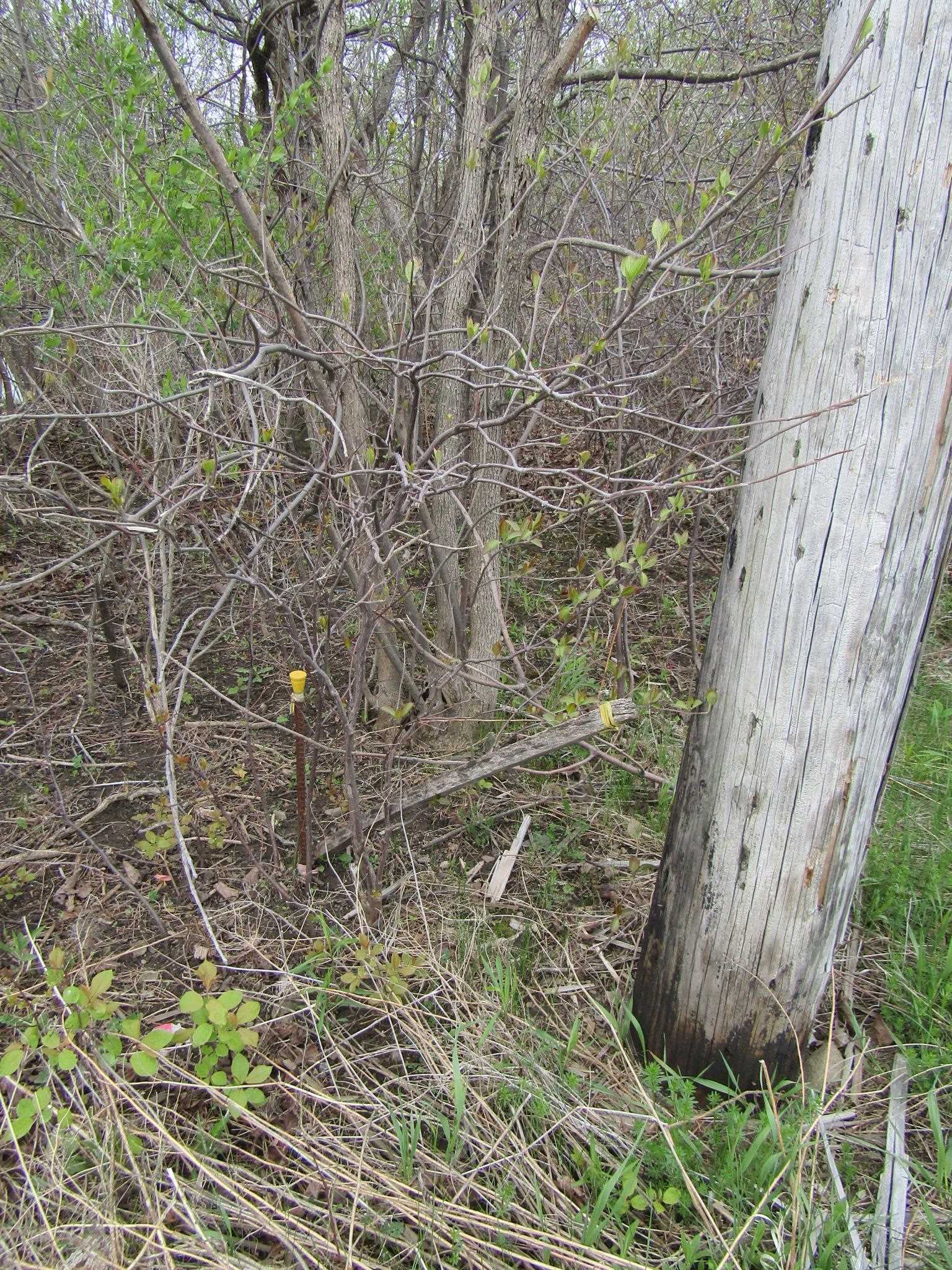 main property photo 12