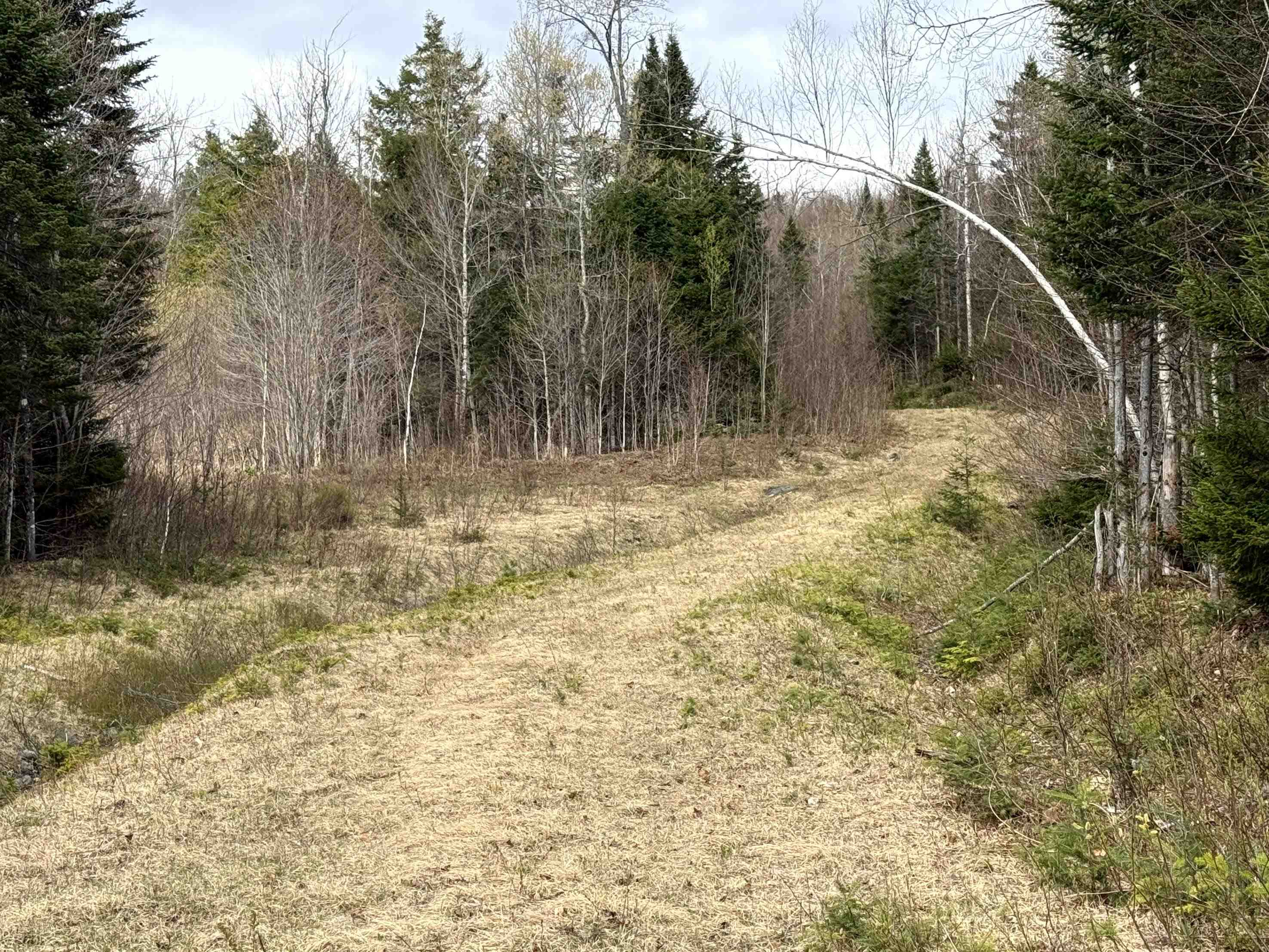 main property photo 37