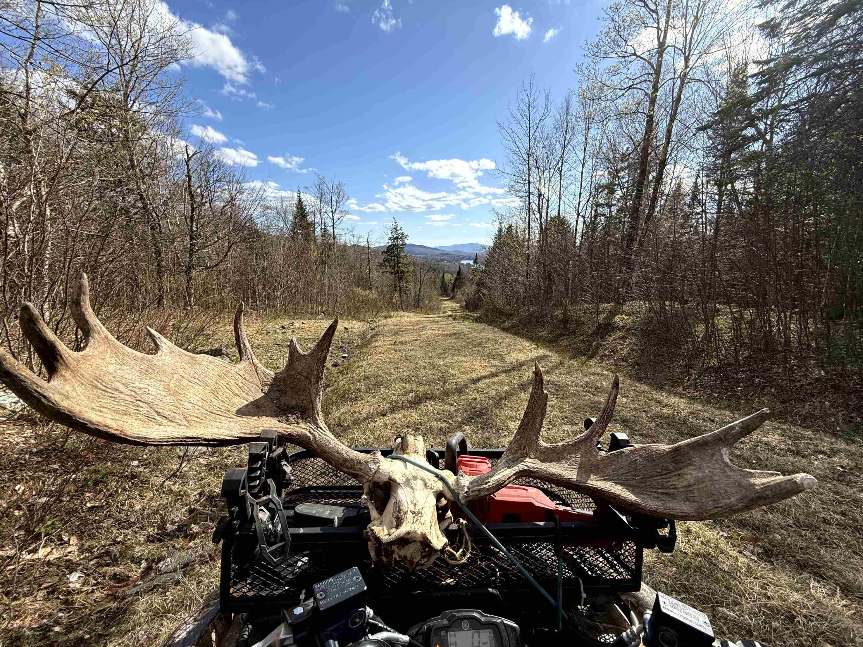 main property photo 39