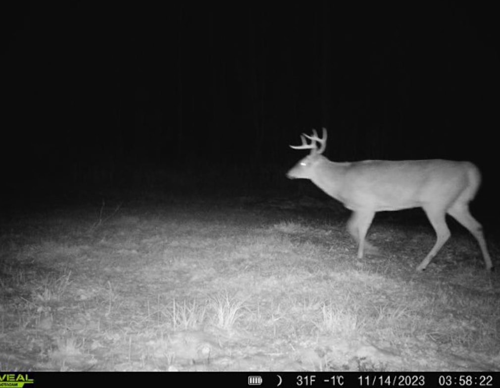 main property photo 57