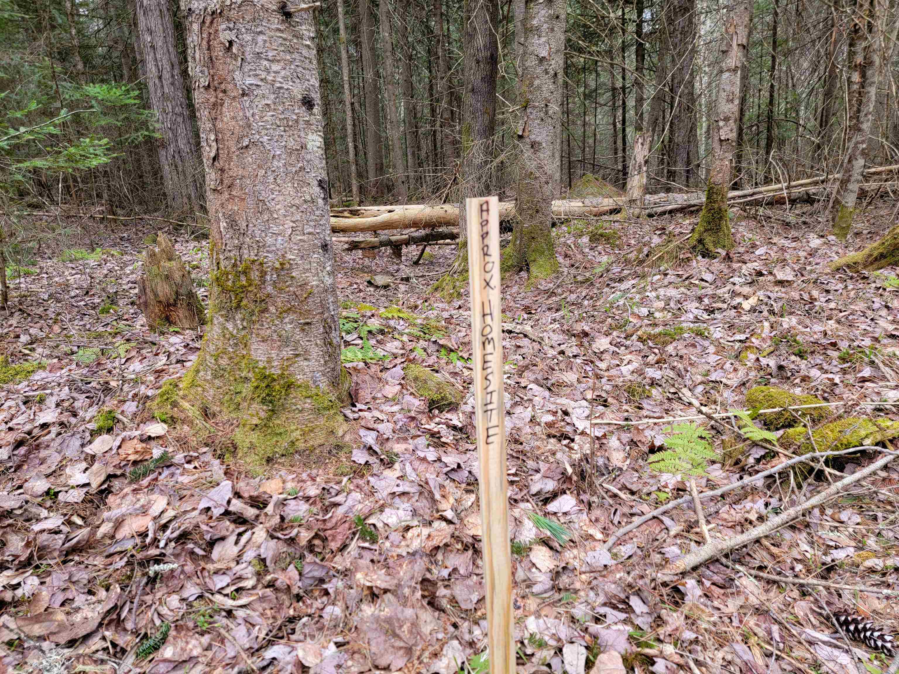 main property photo 12