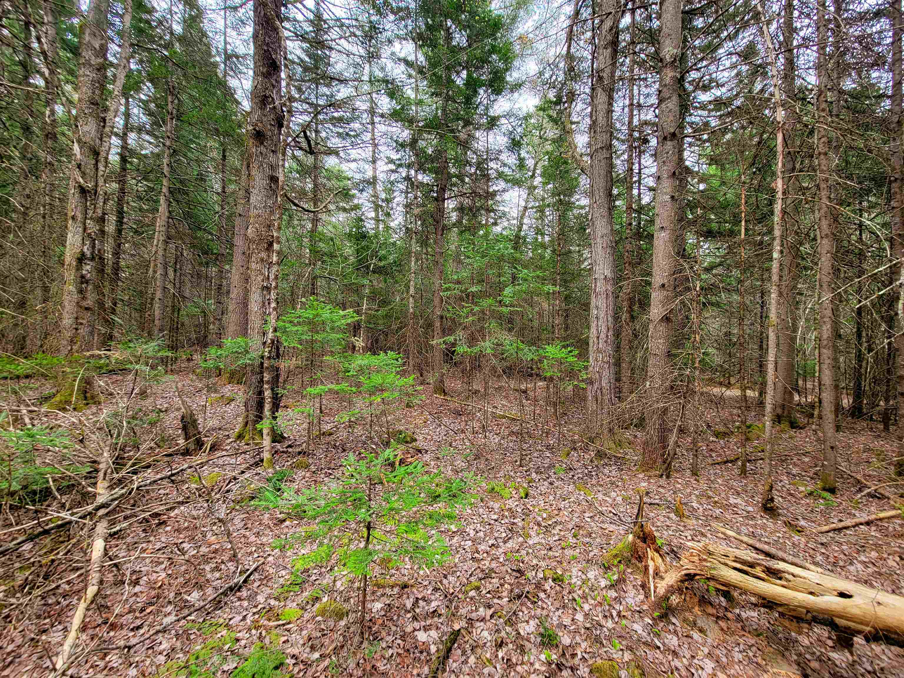 main property photo 13