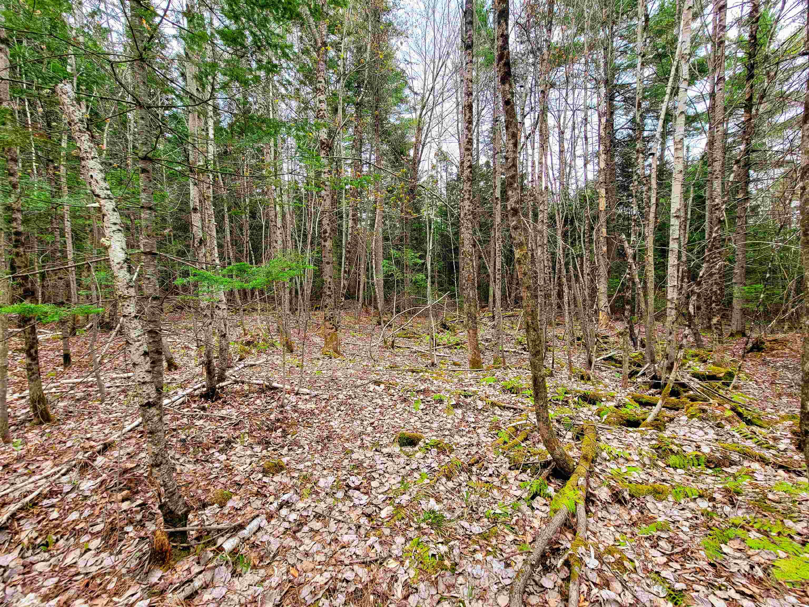 main property photo 24