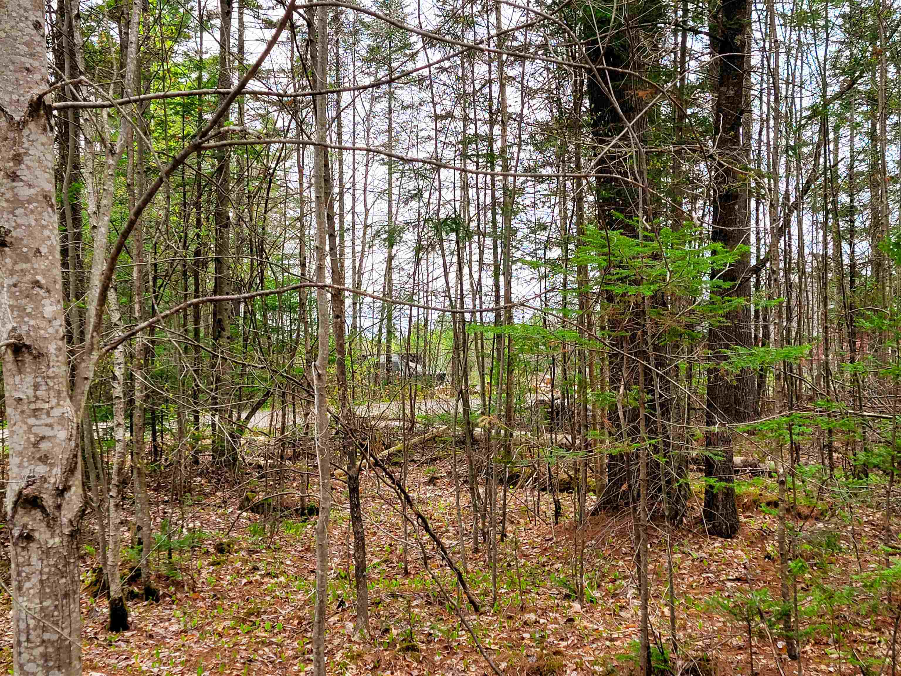 main property photo 26