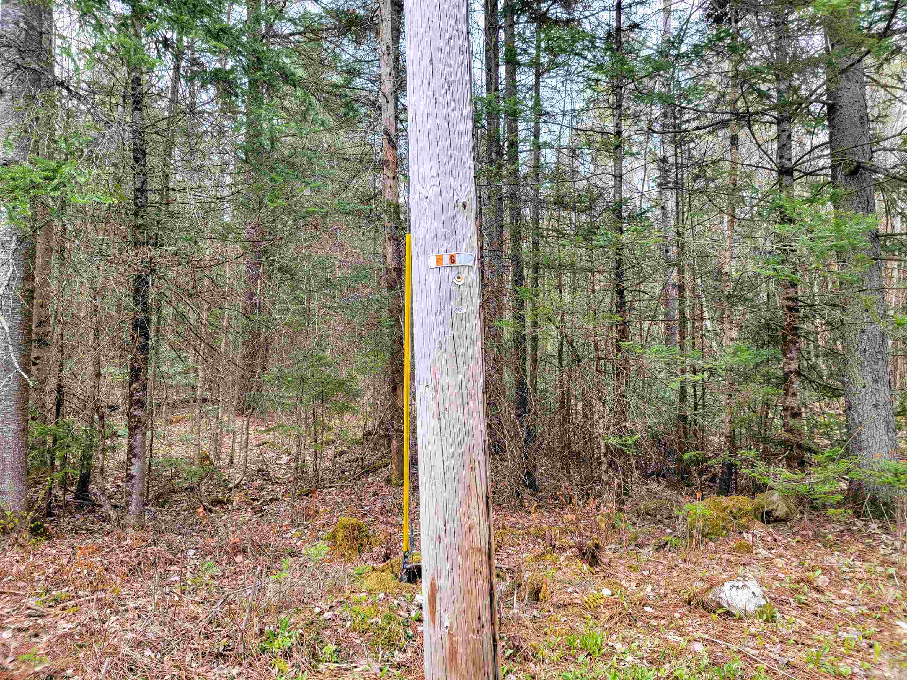 main property photo 31