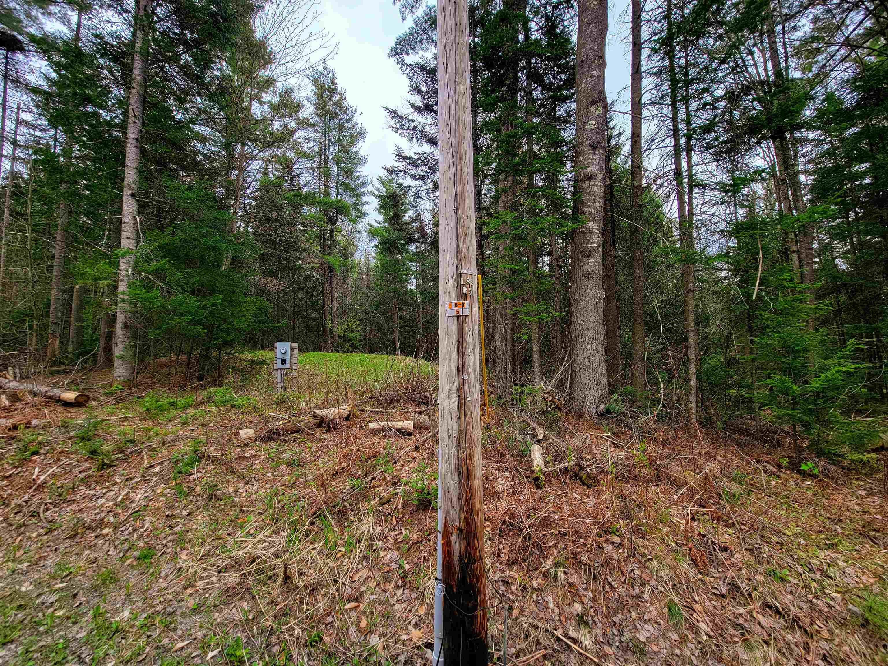 main property photo 32