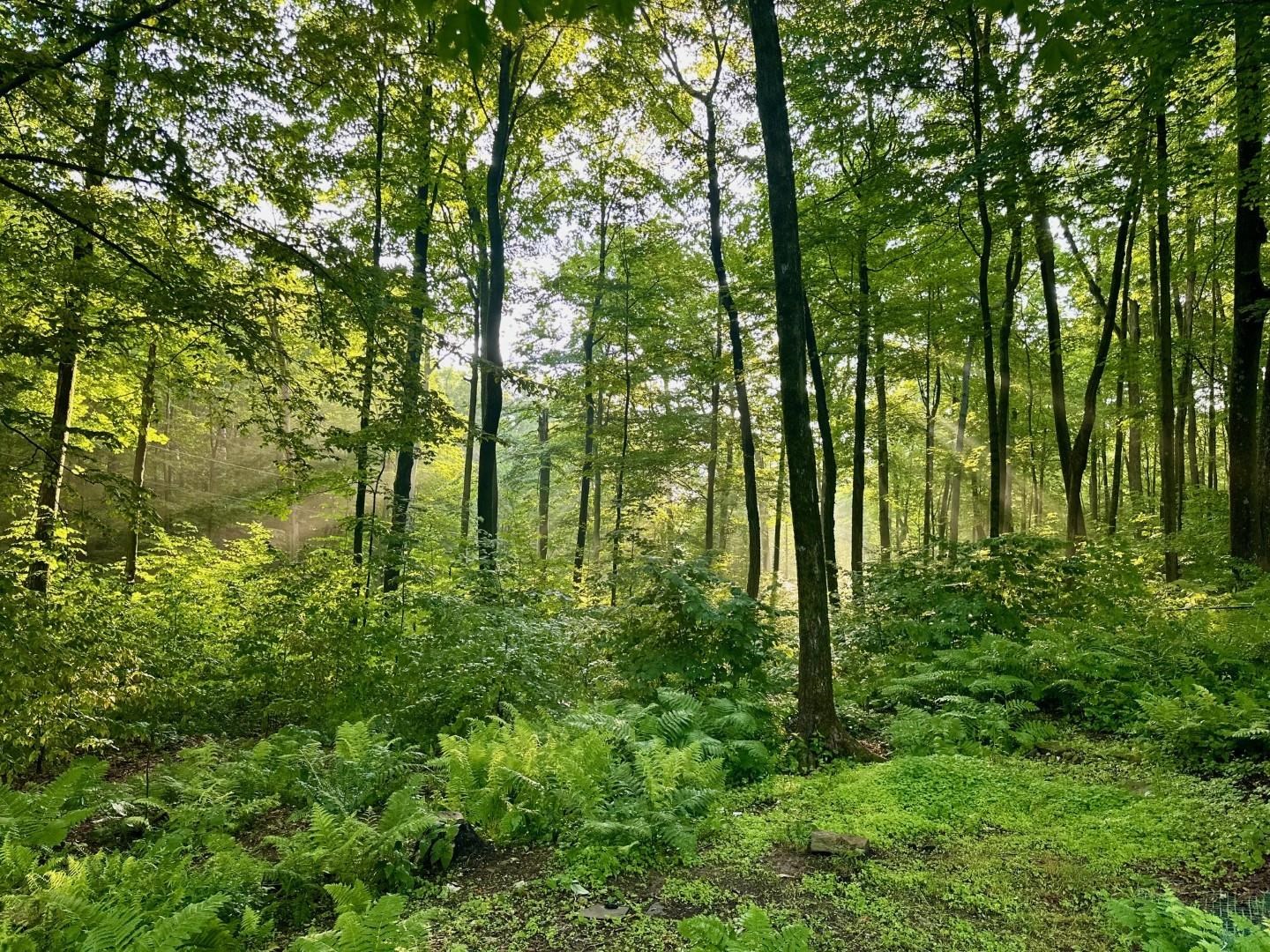 main property photo 51