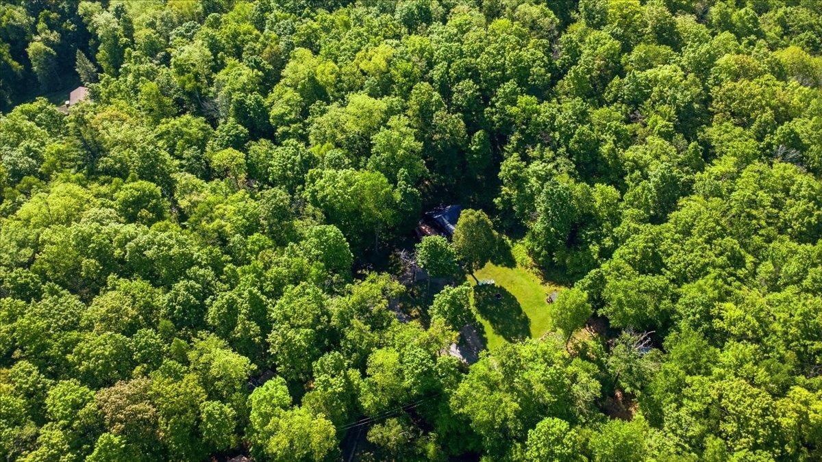 main property photo 59