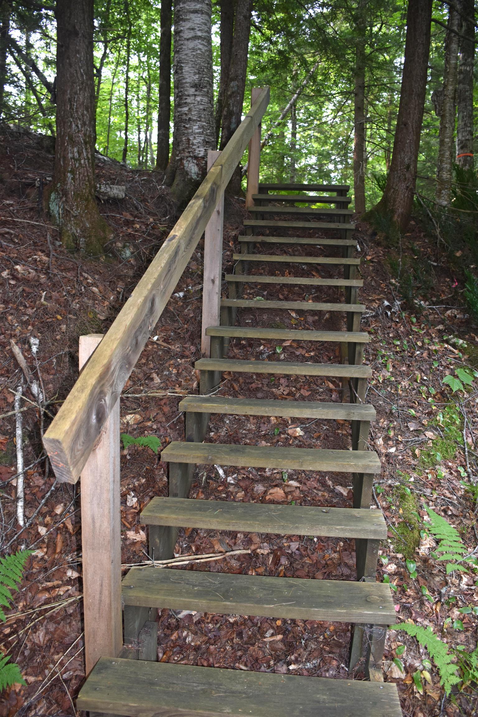 main property photo 28