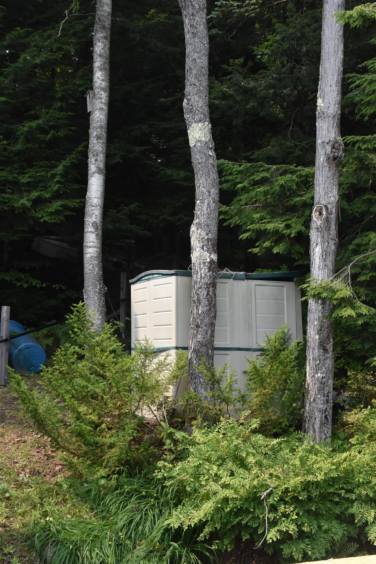 main property photo 32