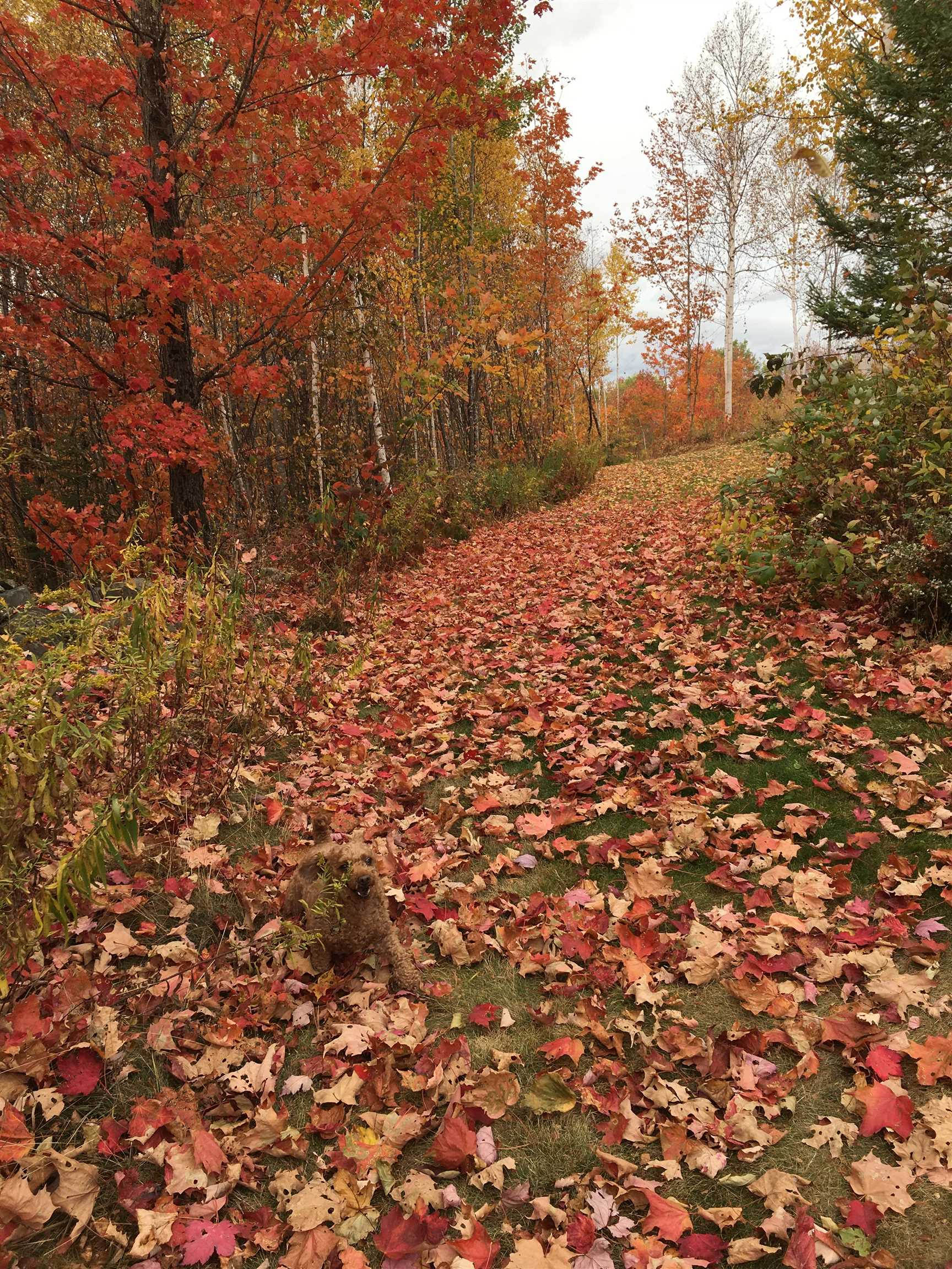 main property photo 51