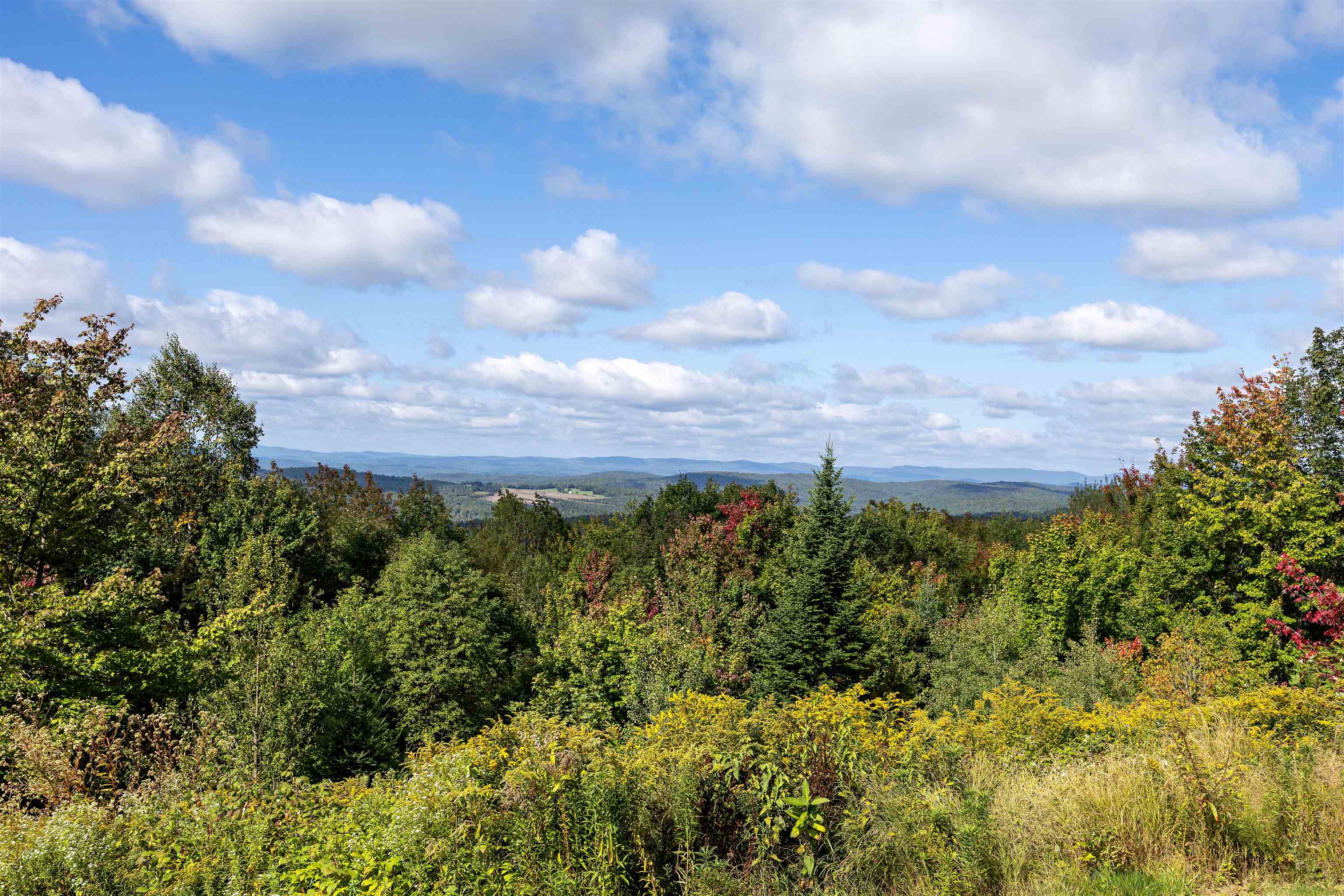 main property photo 59