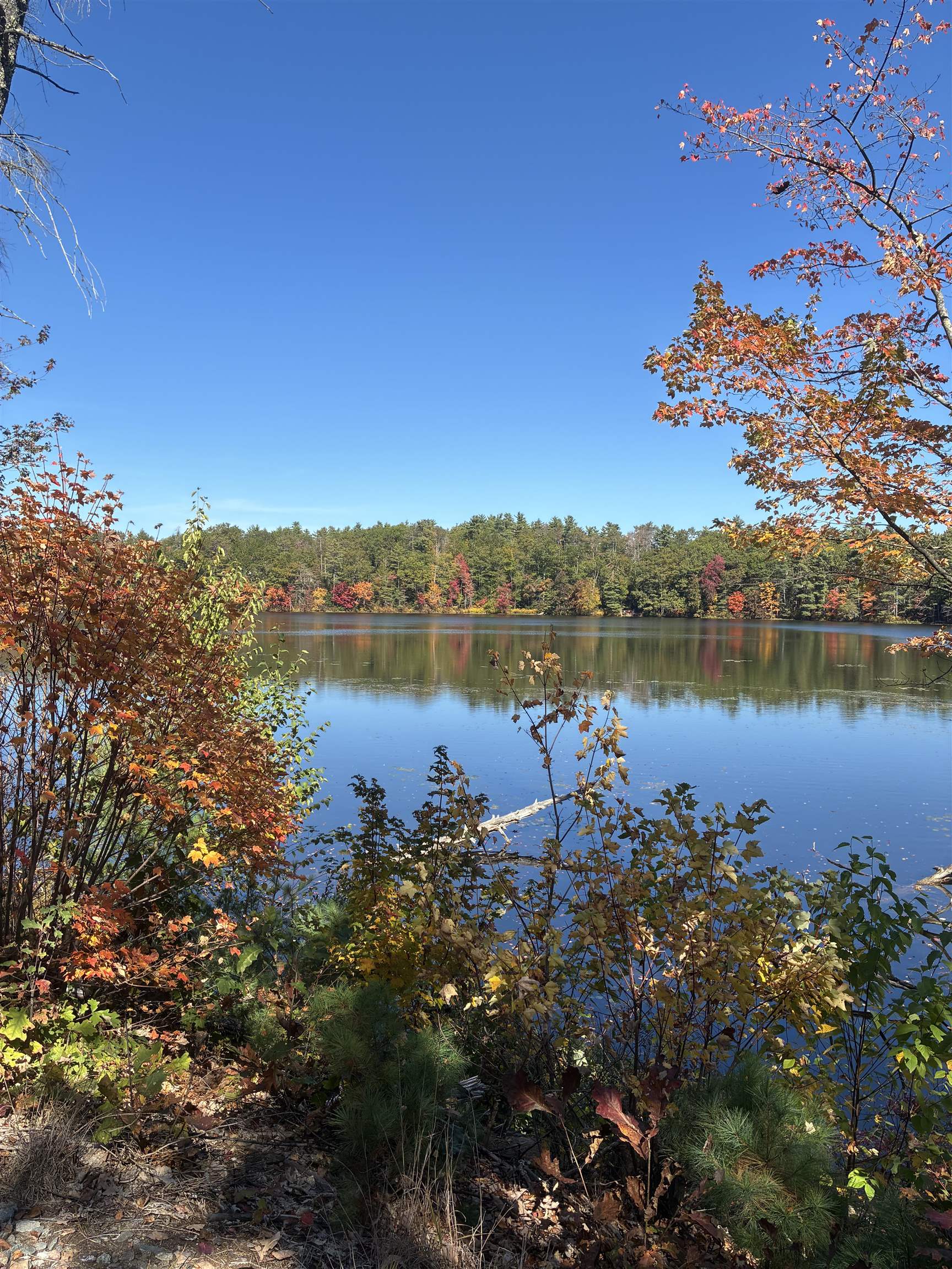 main property photo 45