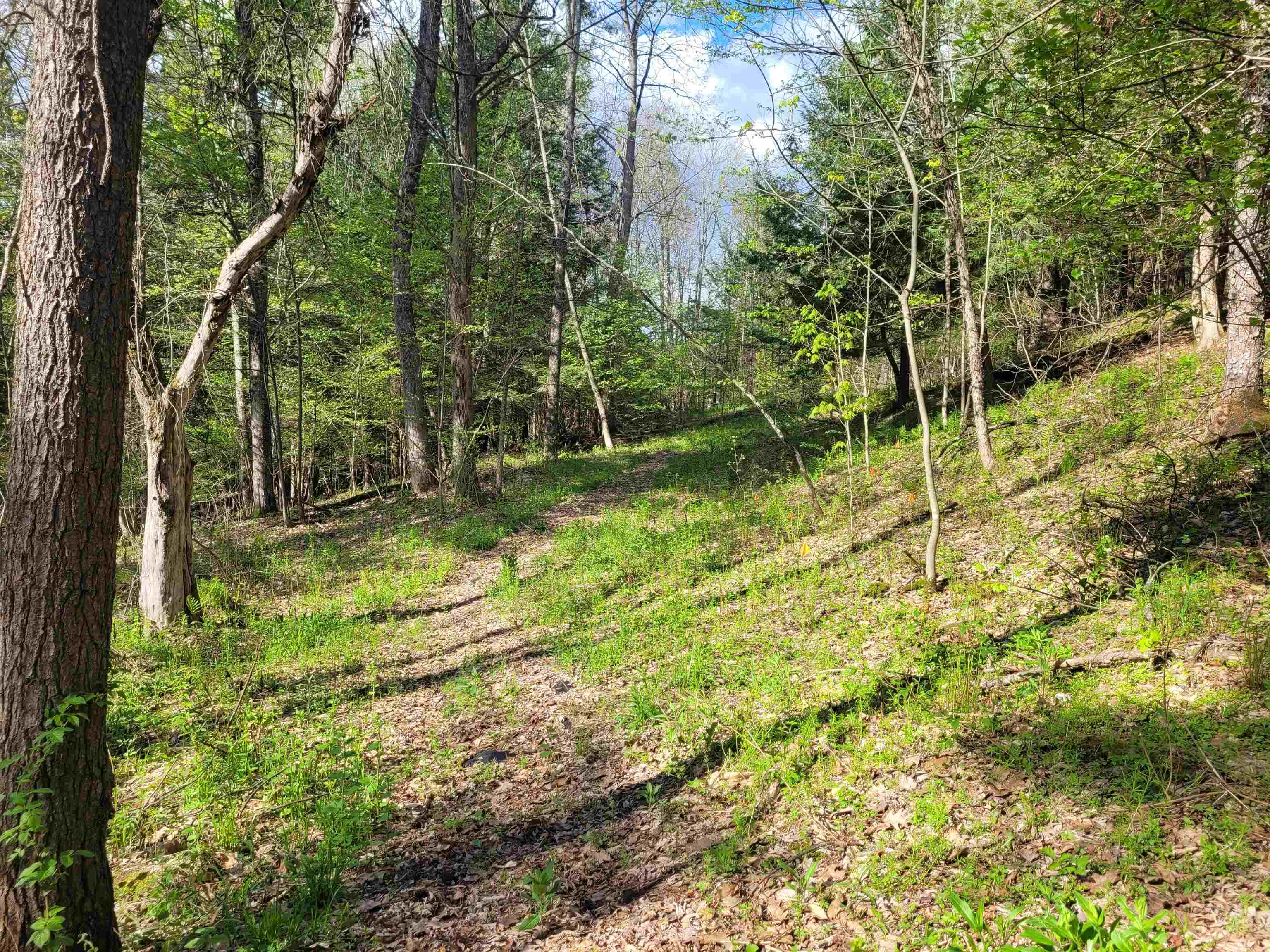 main property photo 13