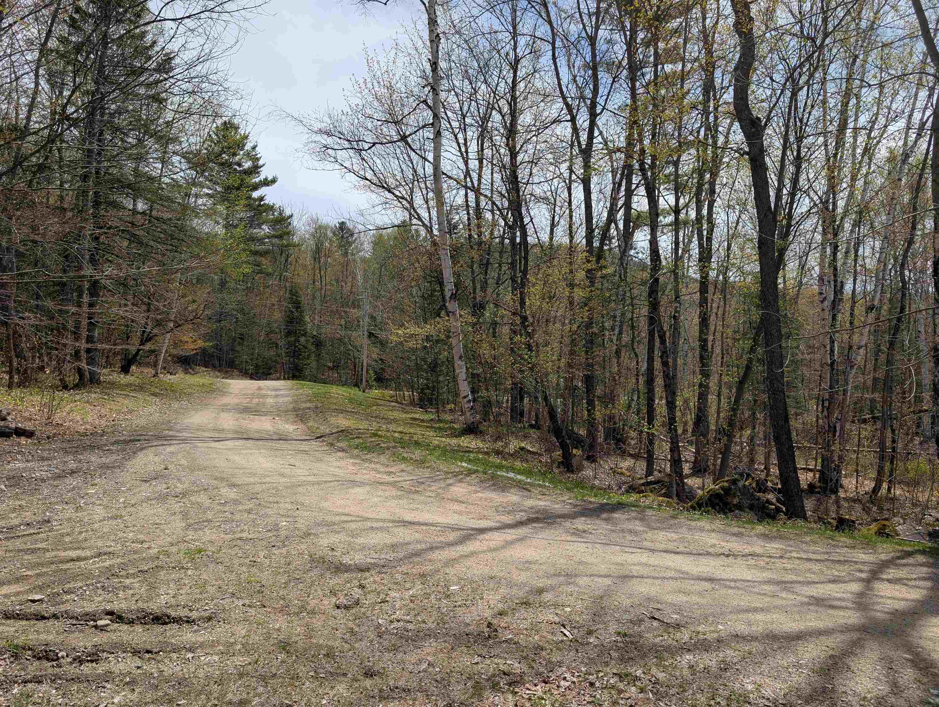 main property photo 54