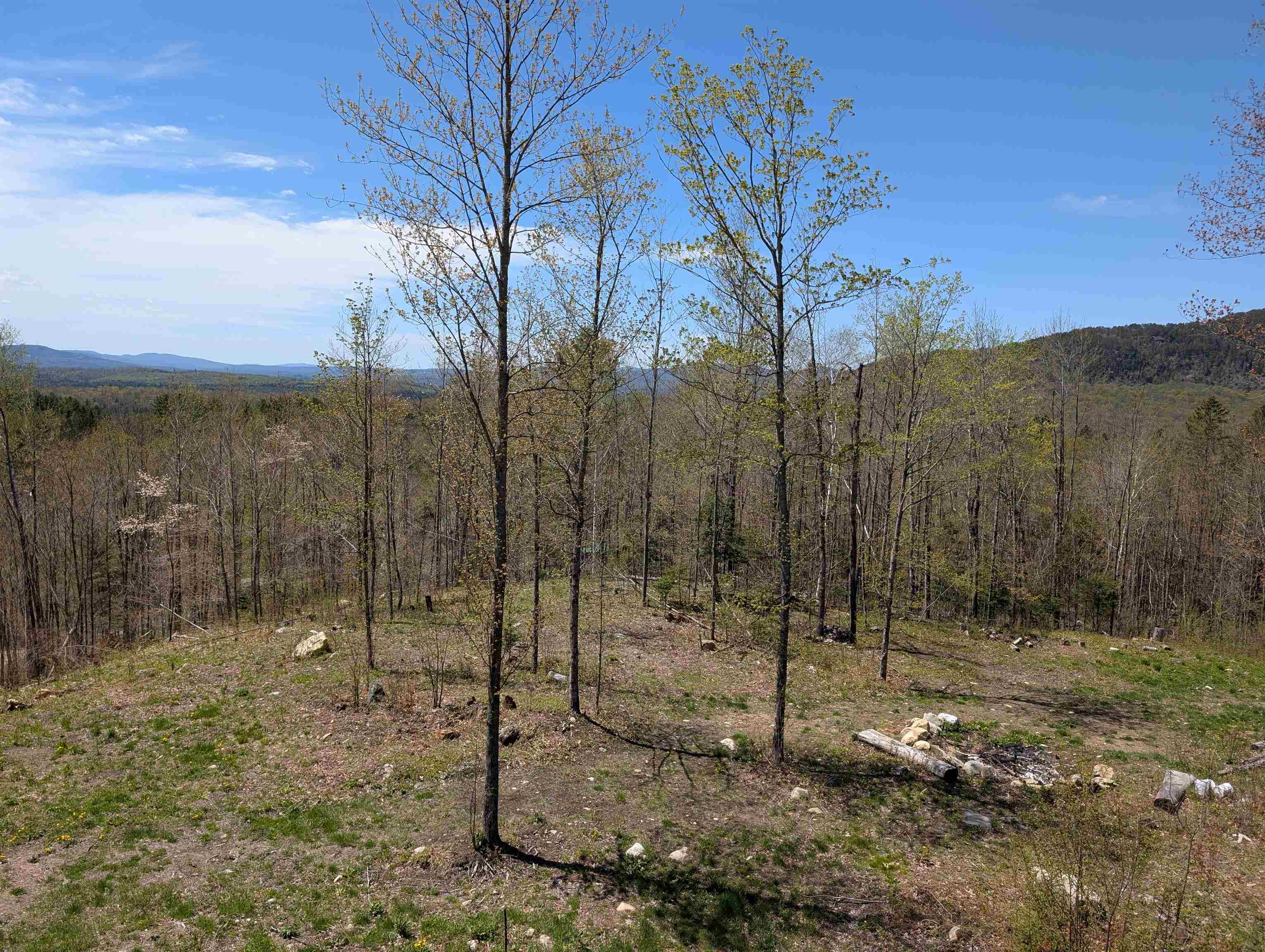 main property photo 58