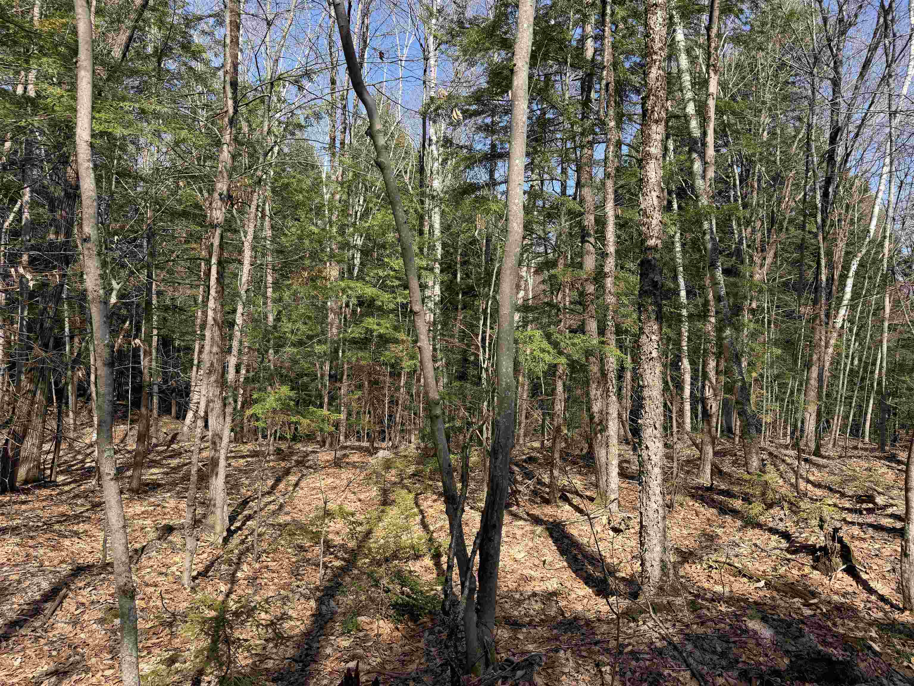main property photo 20