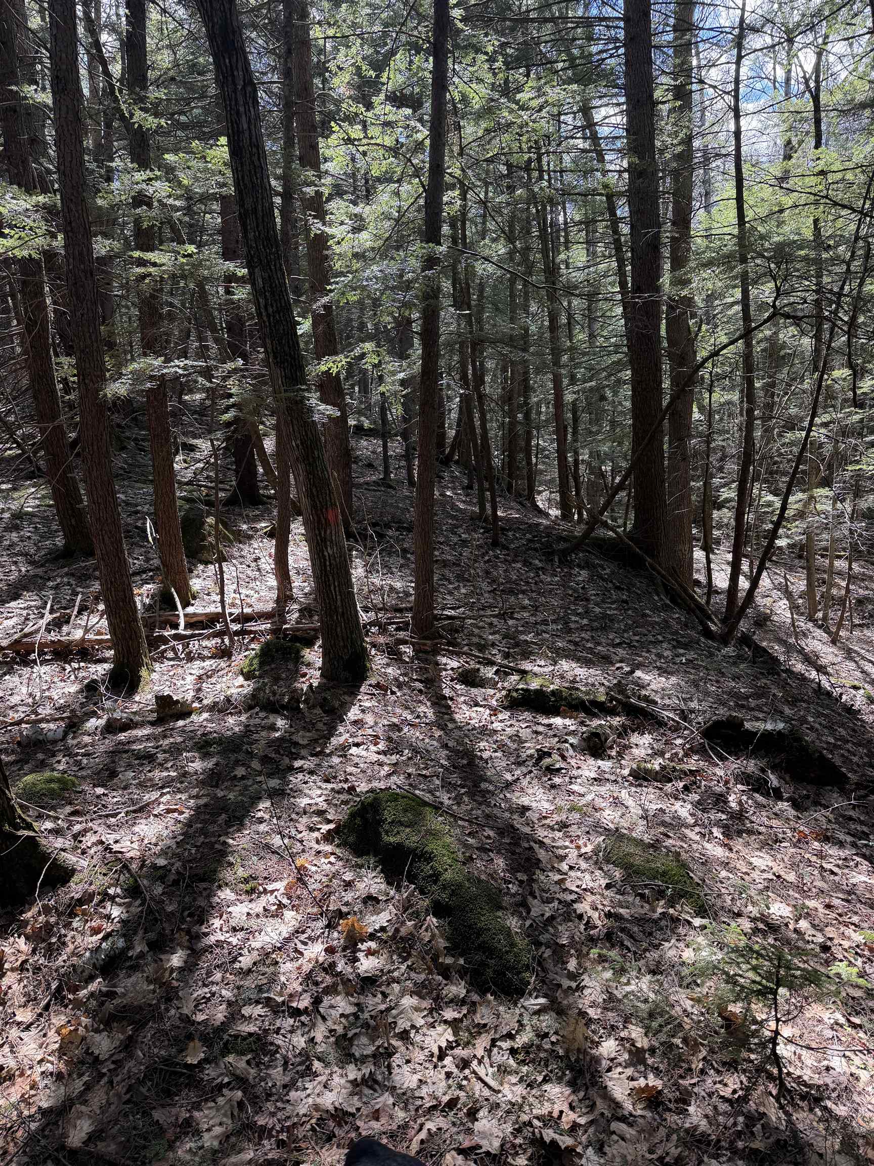 main property photo 24