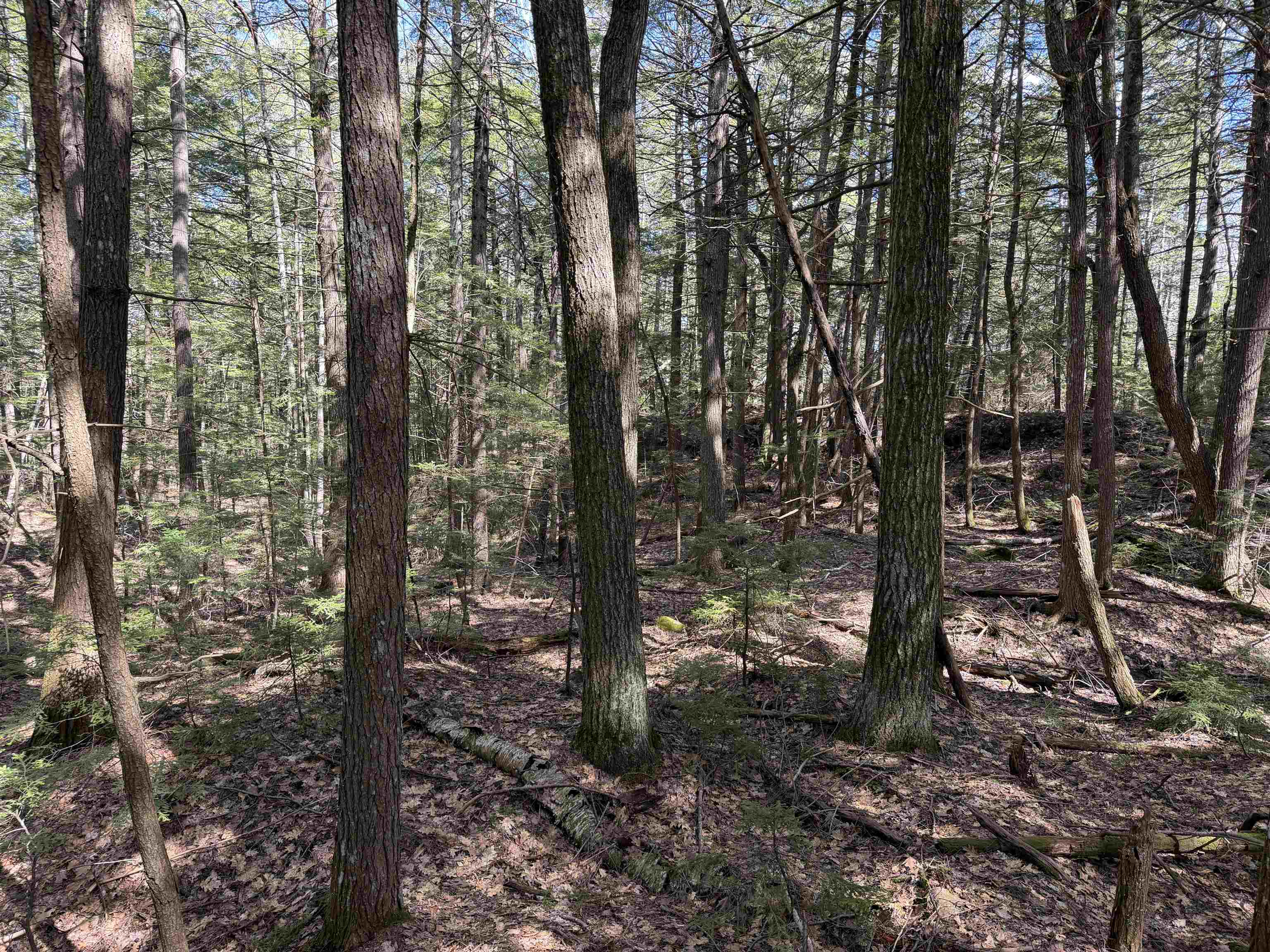 main property photo 28