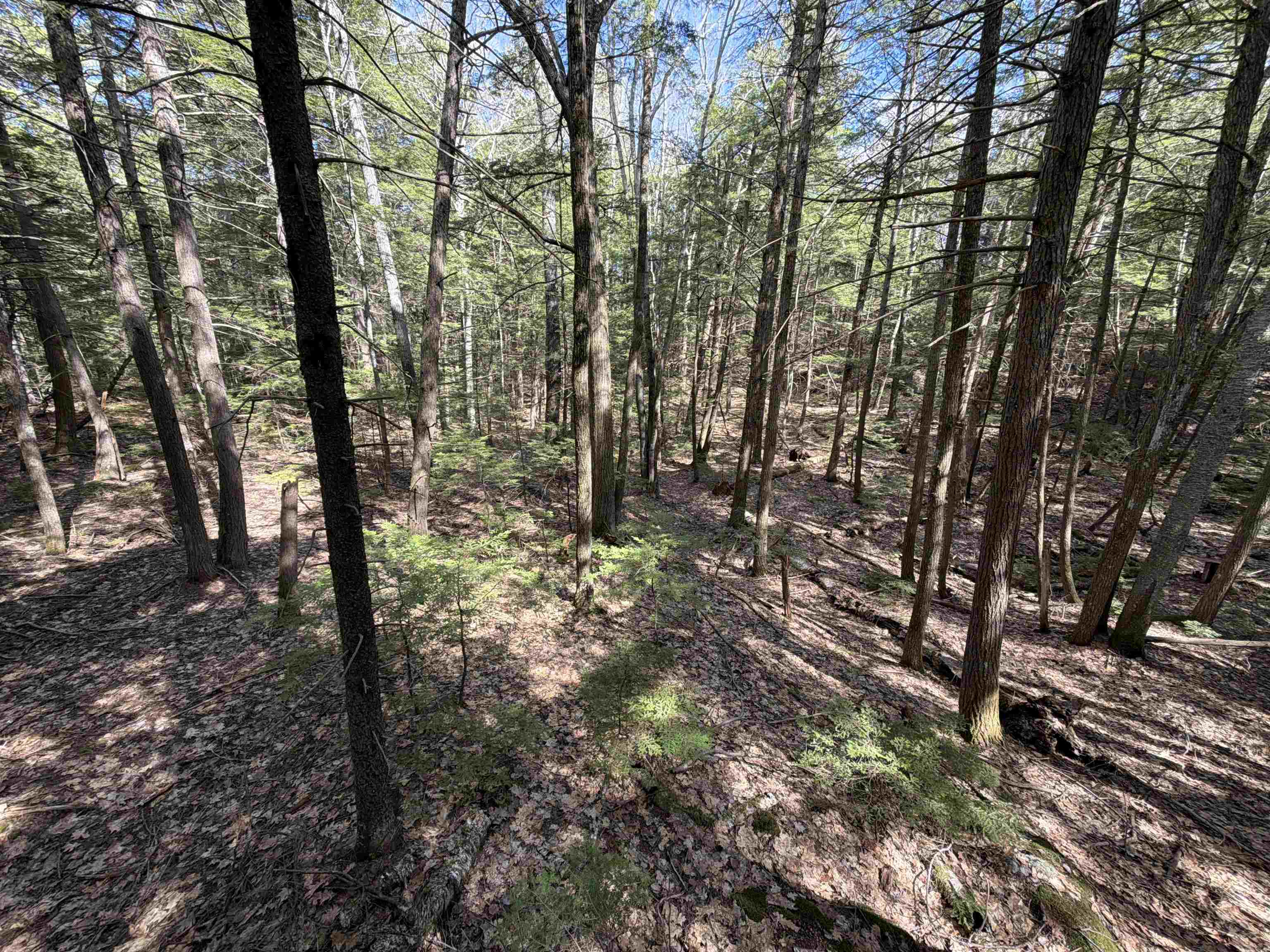 main property photo 32