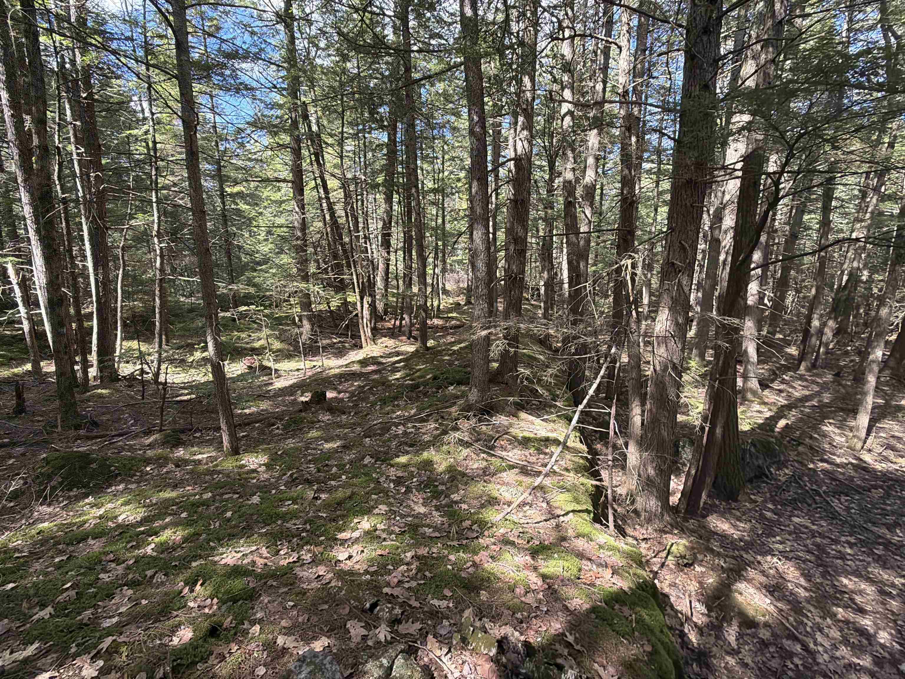 main property photo 33