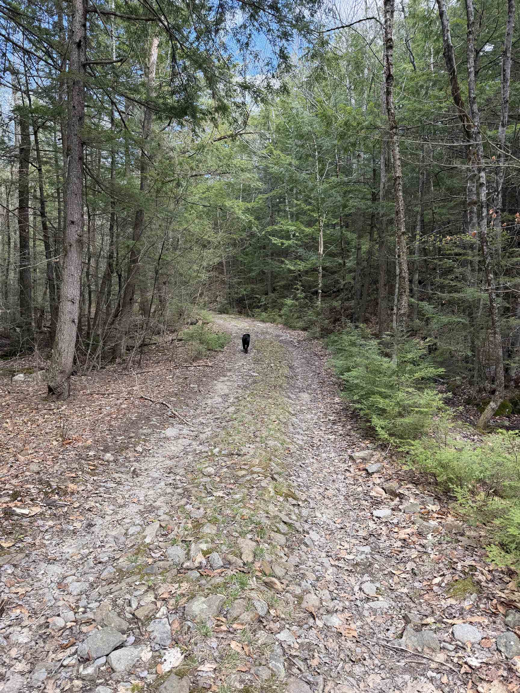 main property photo 35