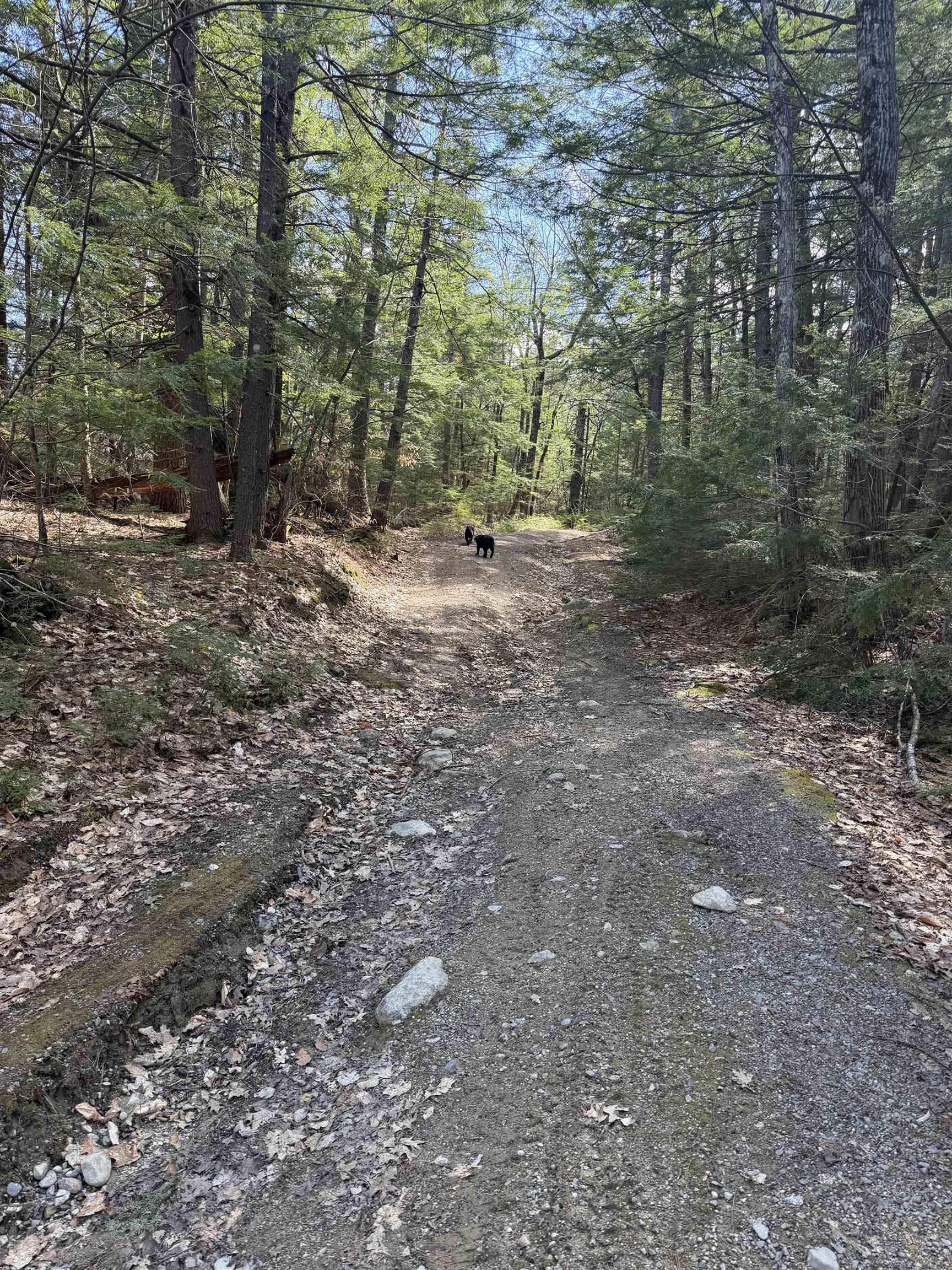 main property photo 9