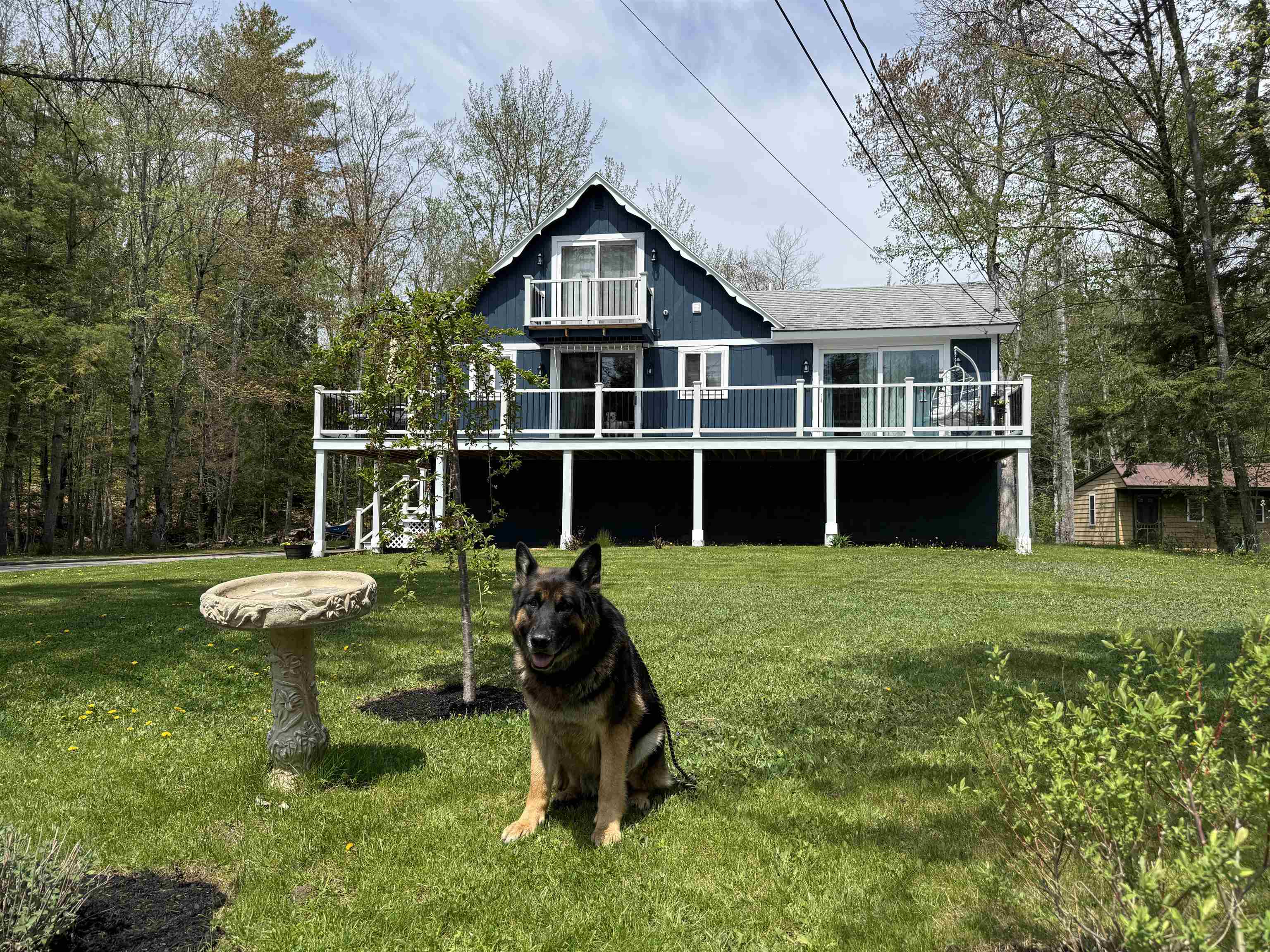 main property photo 56
