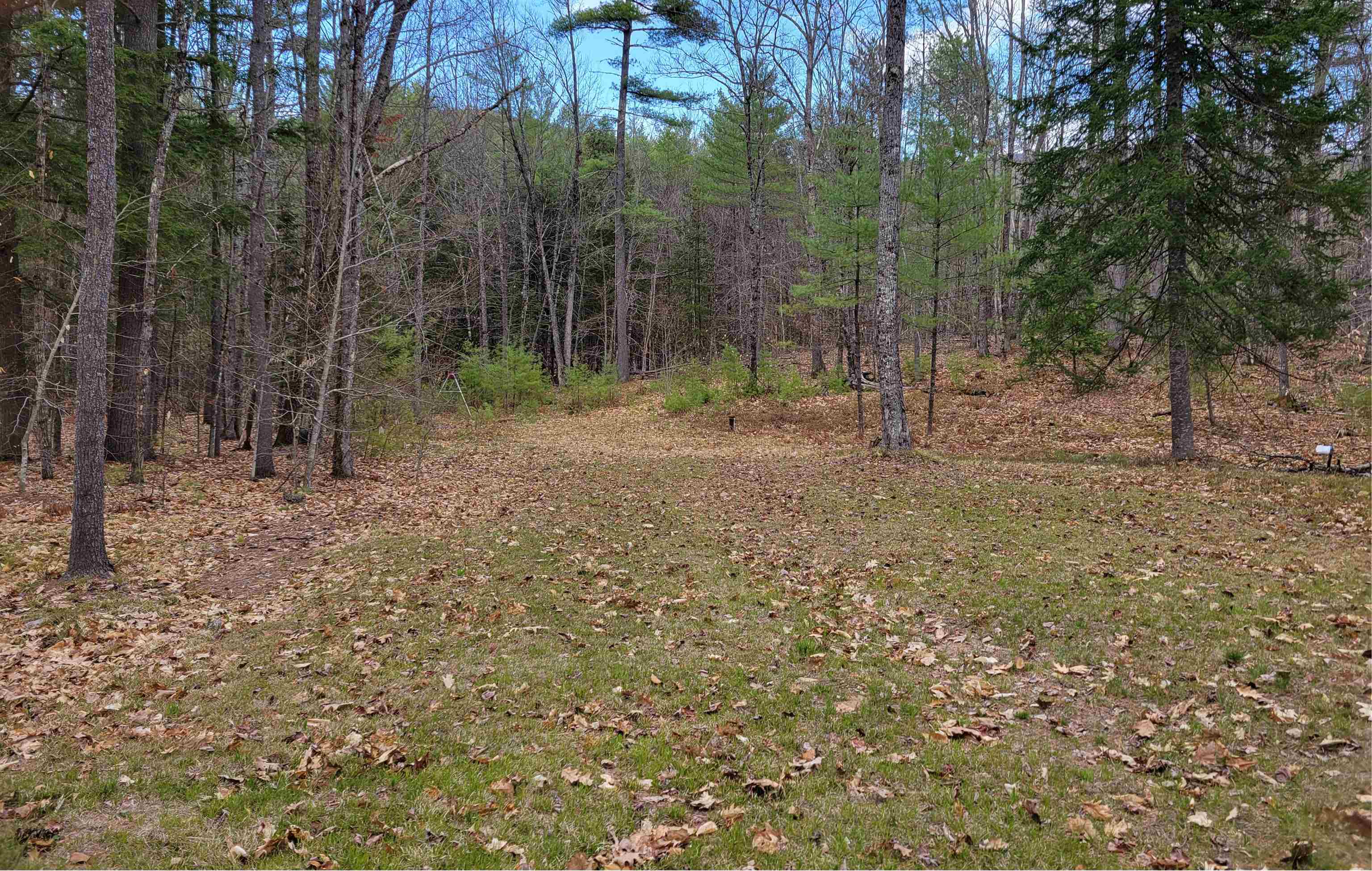 main property photo 14