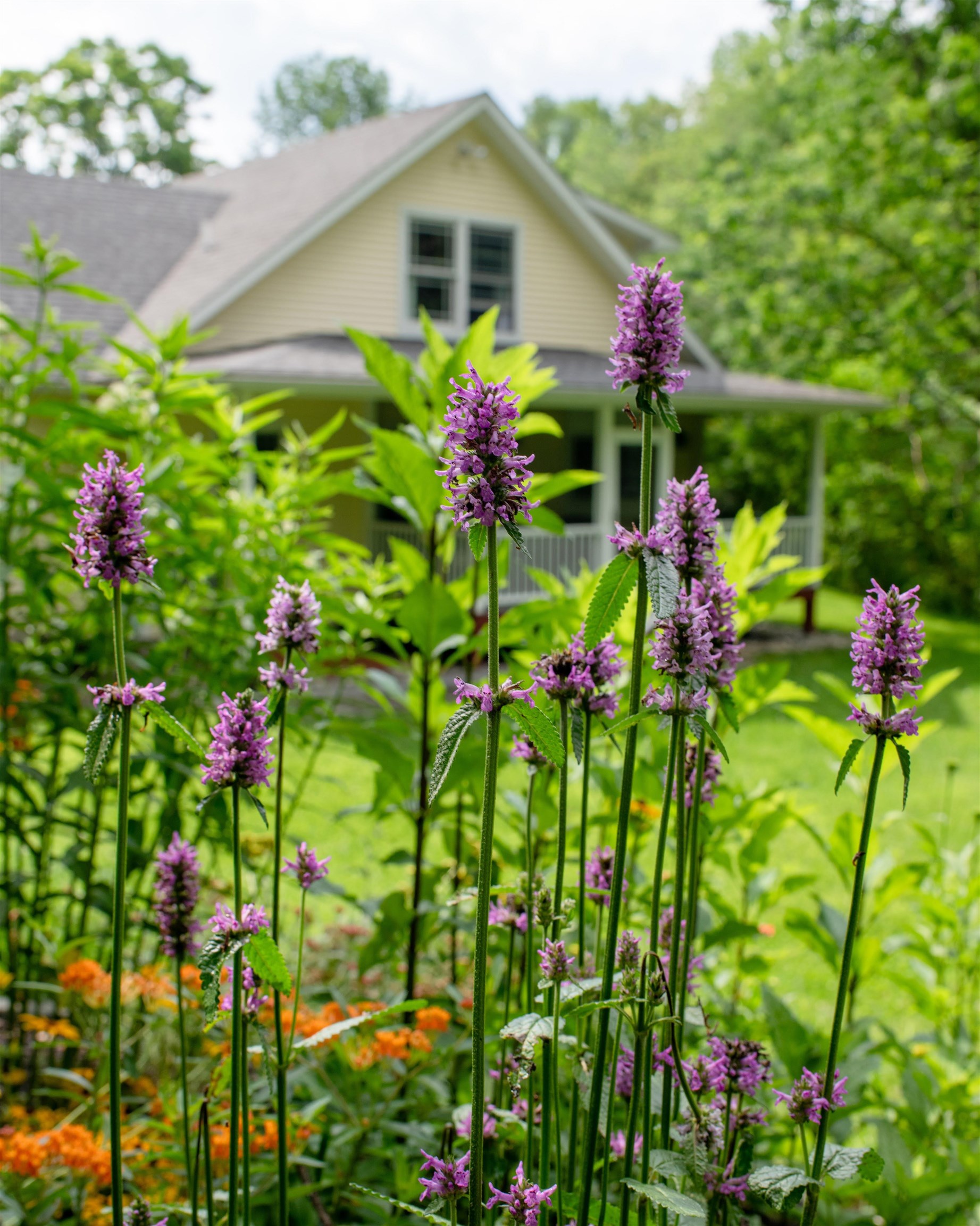 main property photo 42
