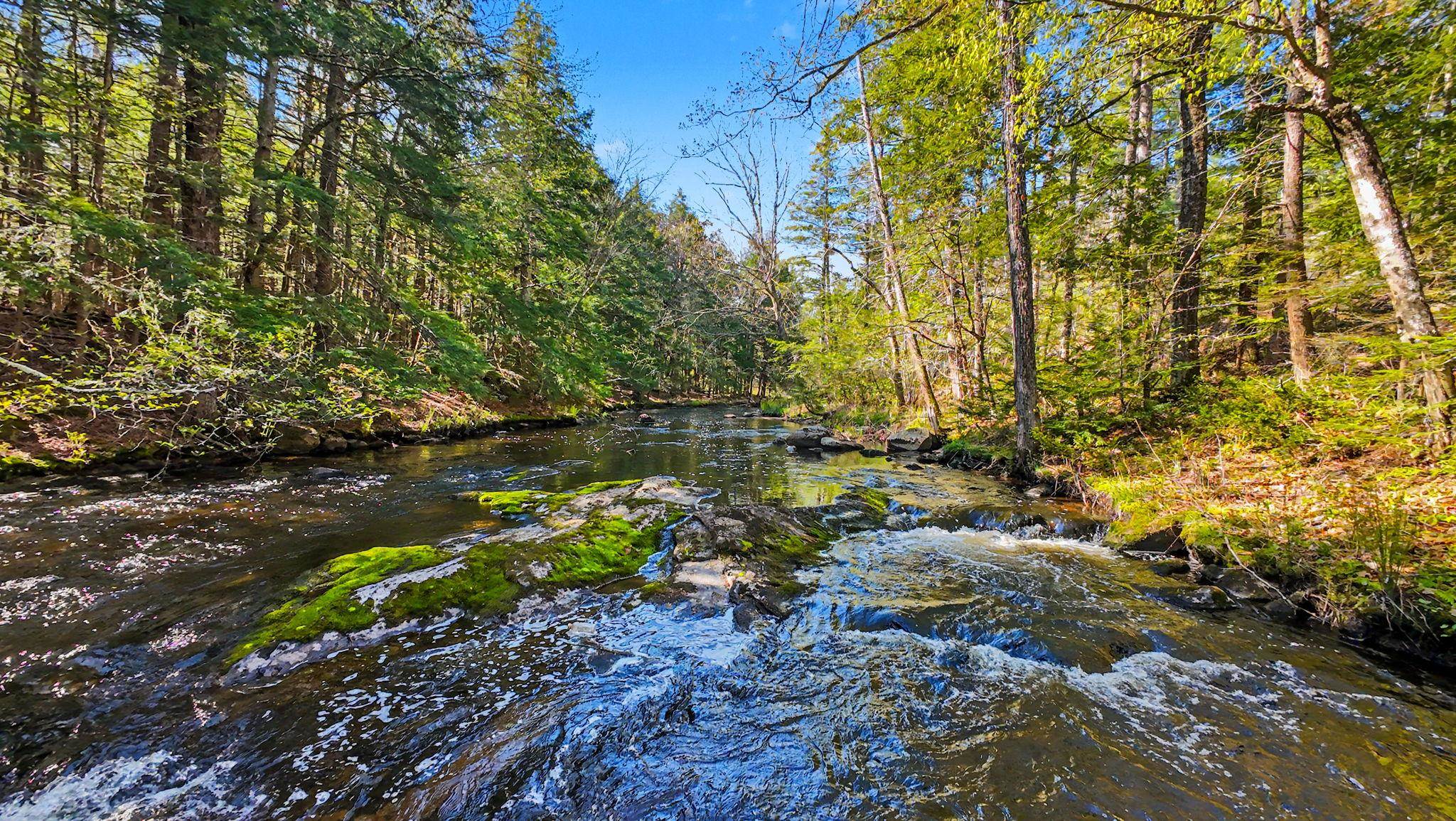 main property photo 59