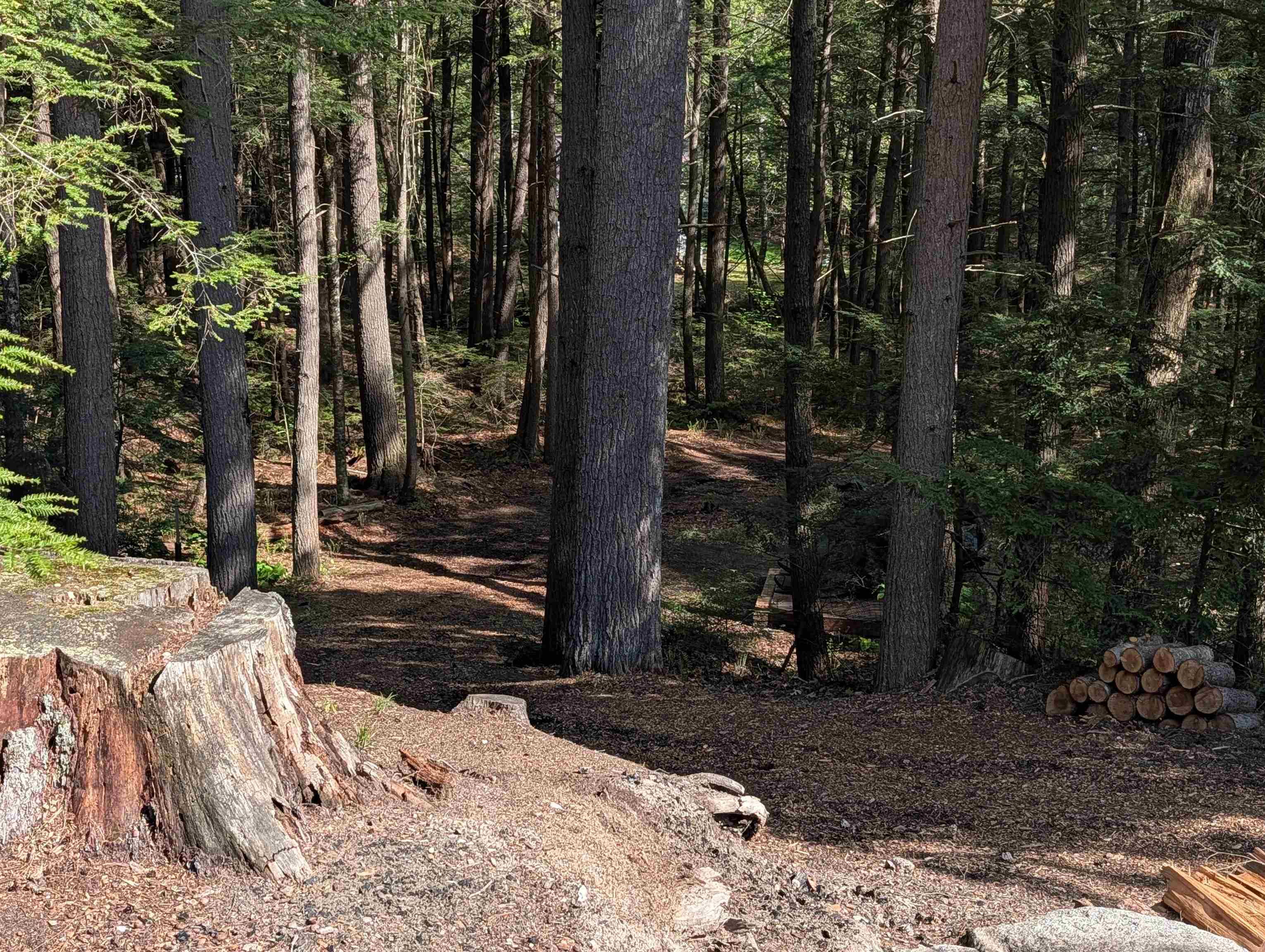 main property photo 54