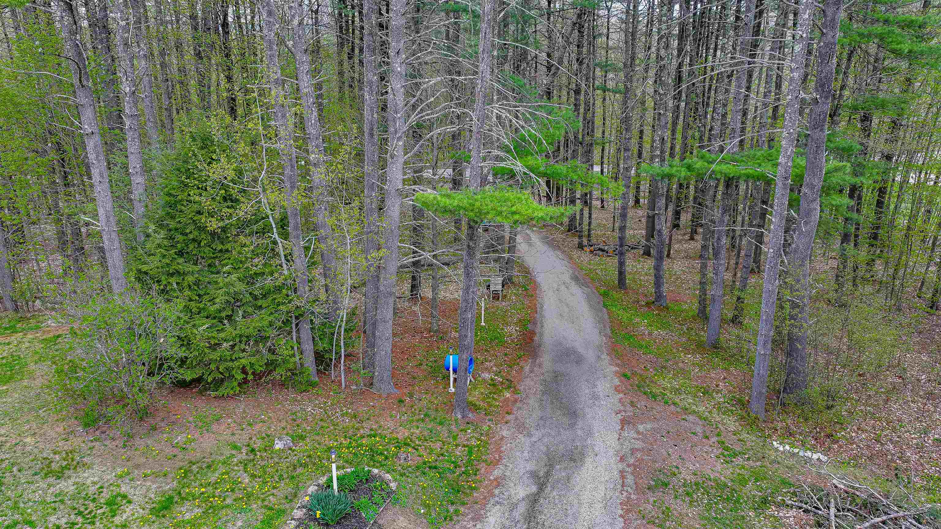 main property photo 54