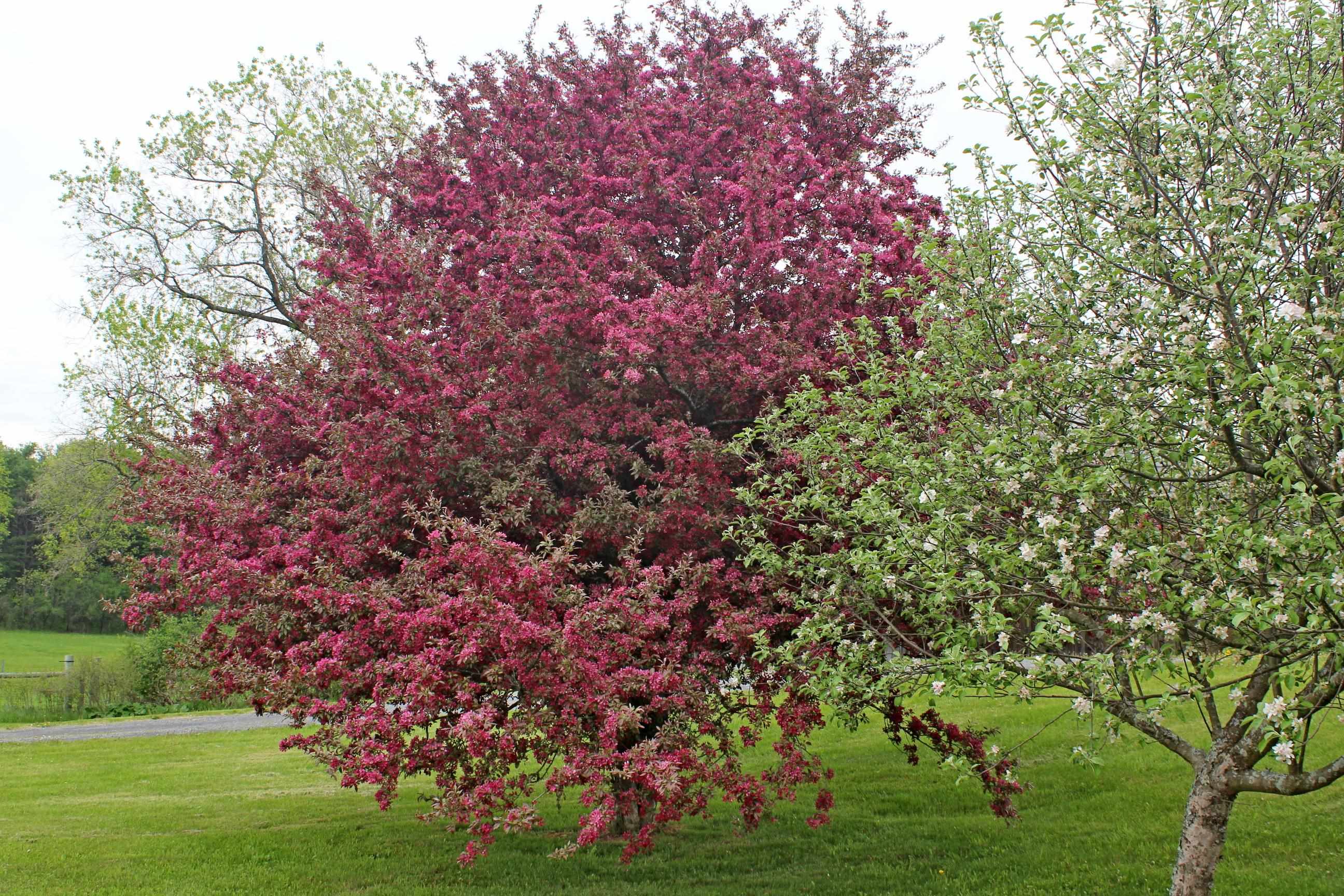 main property photo 41
