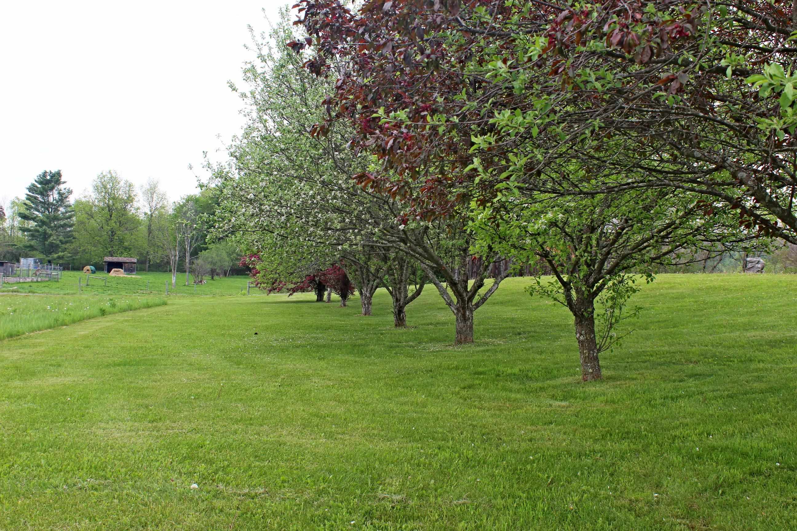 main property photo 42