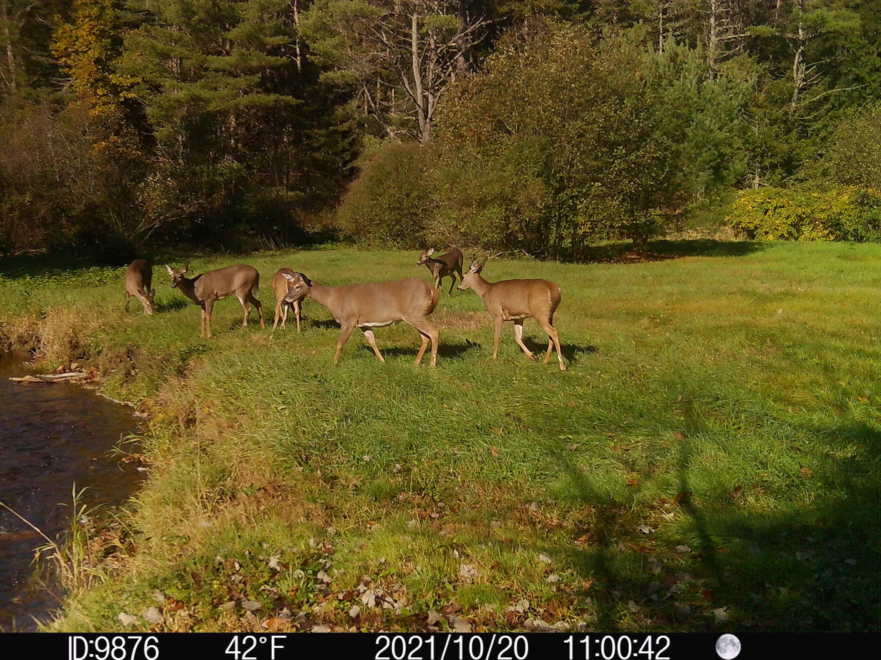 main property photo 50