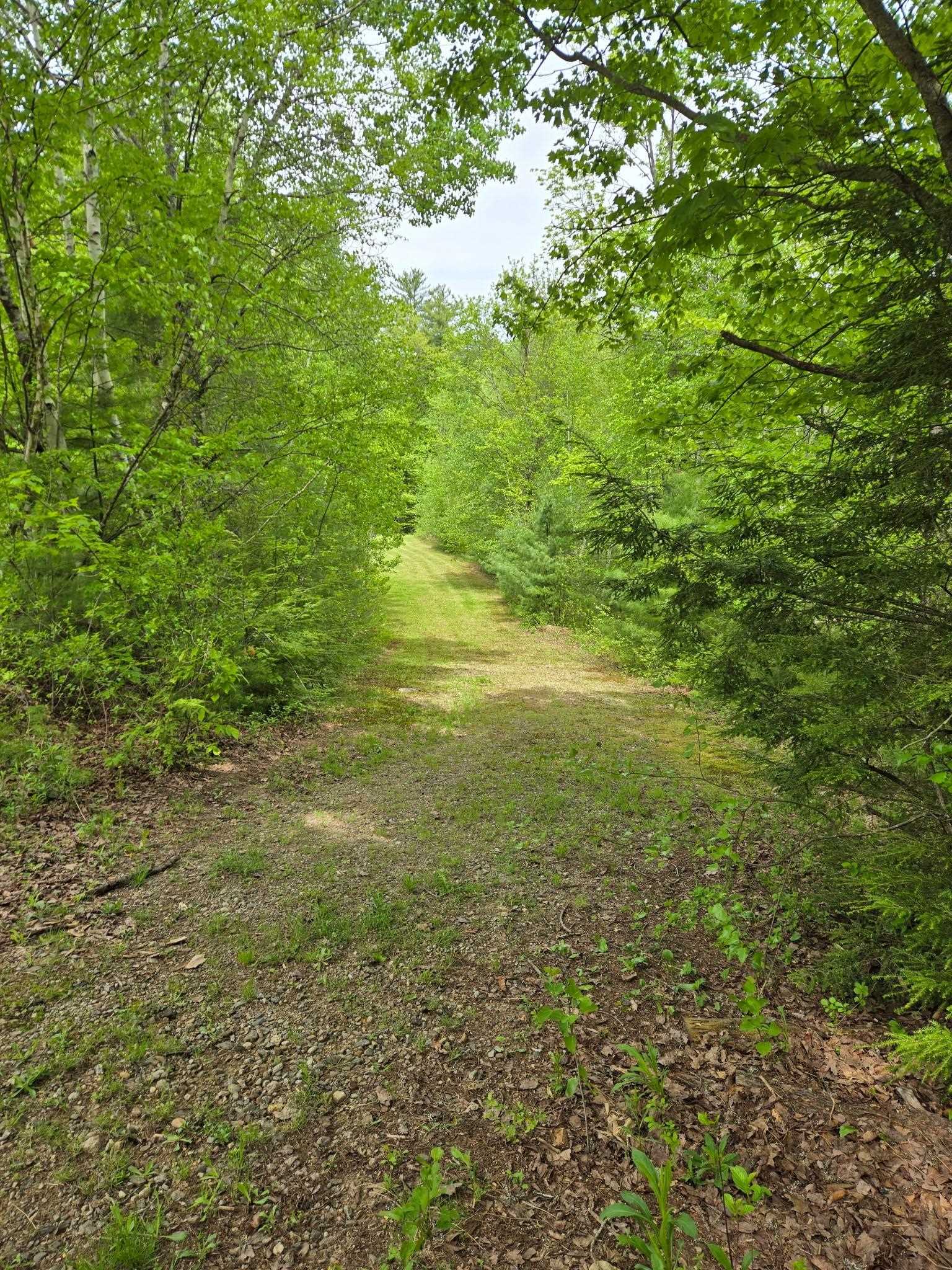 main property photo 54