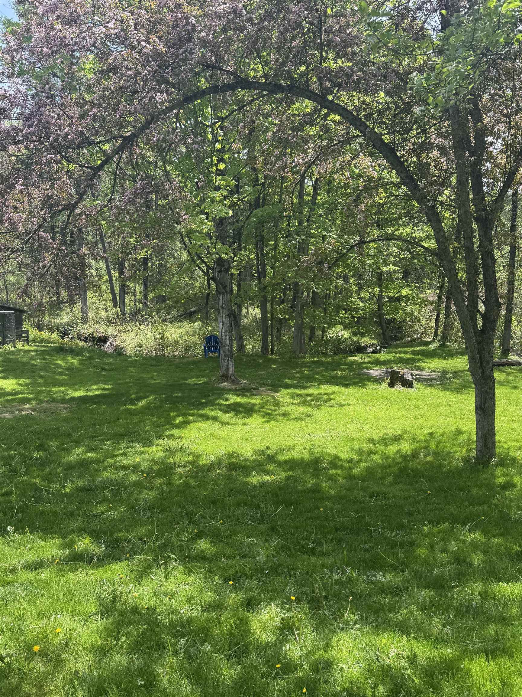 main property photo 48