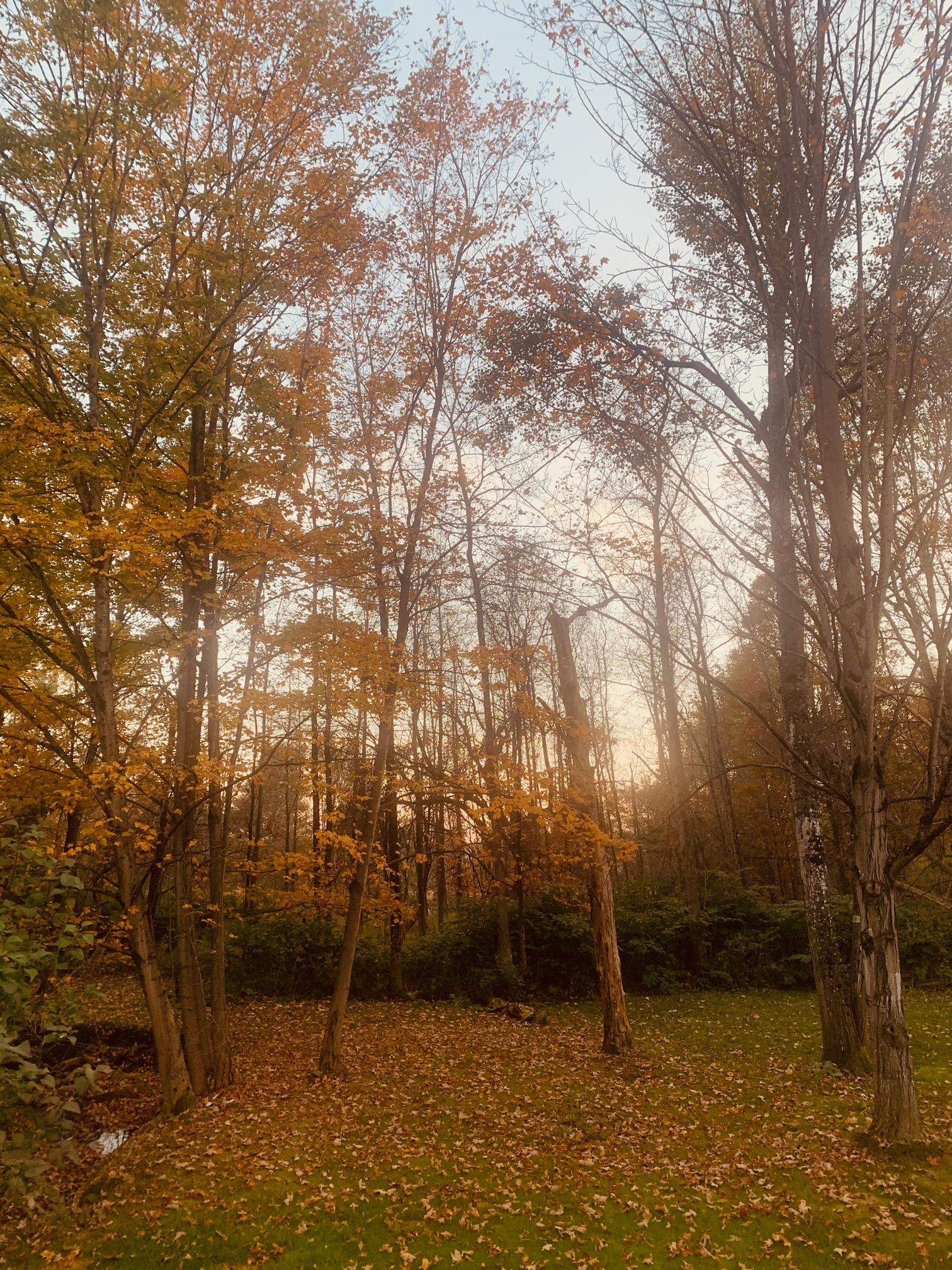 main property photo 49