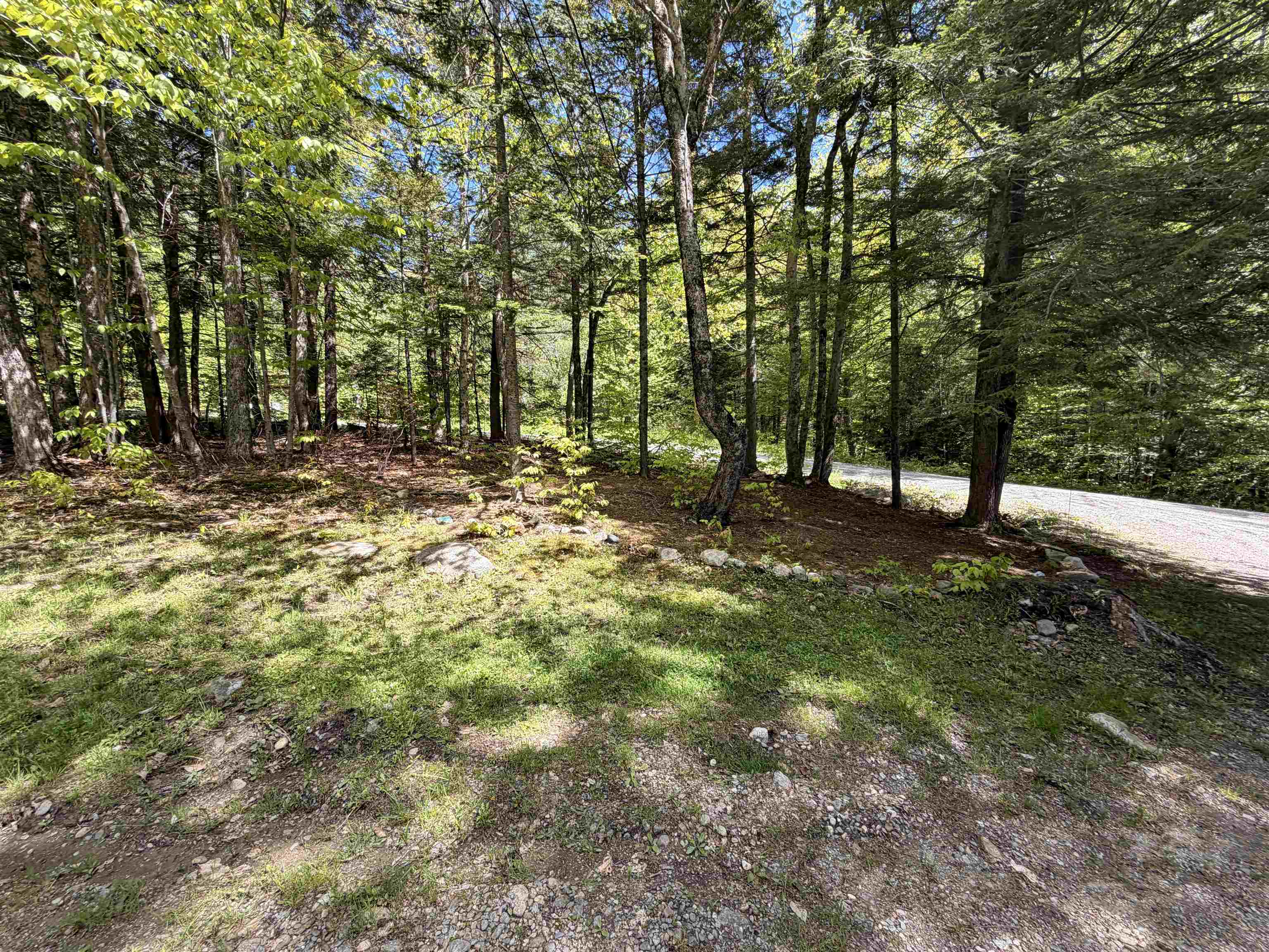 main property photo 54