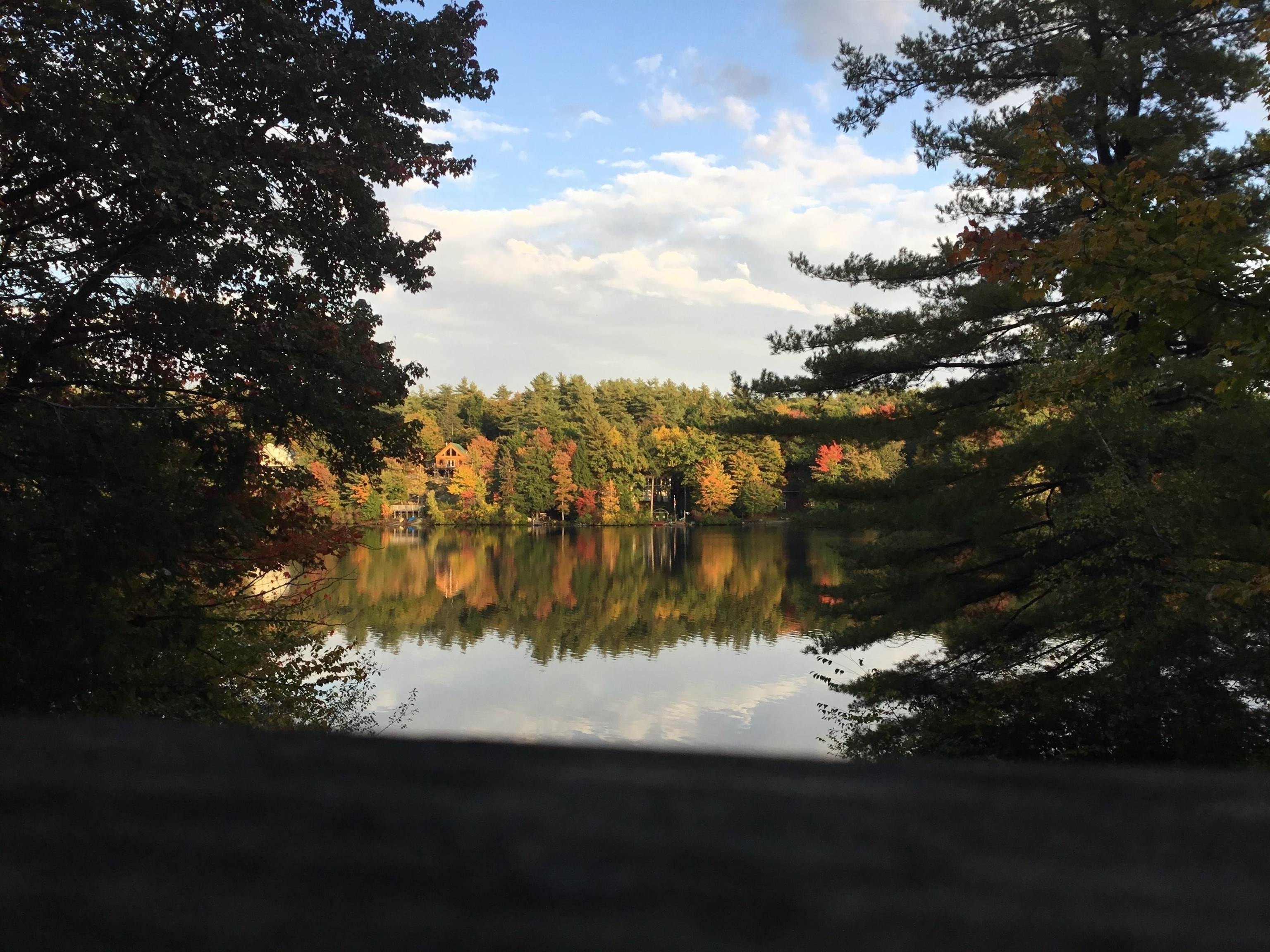 main property photo 48