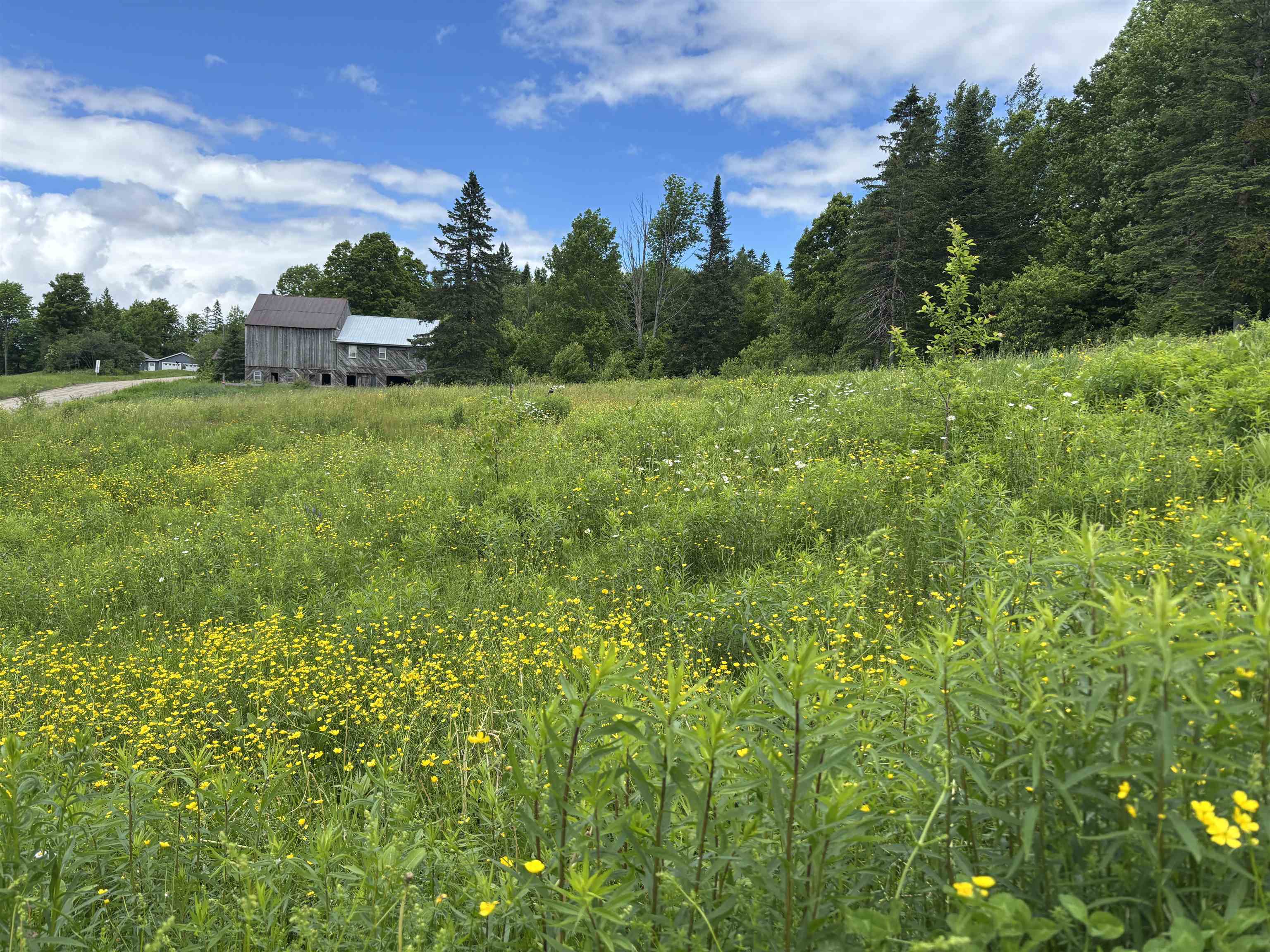 main property photo 42