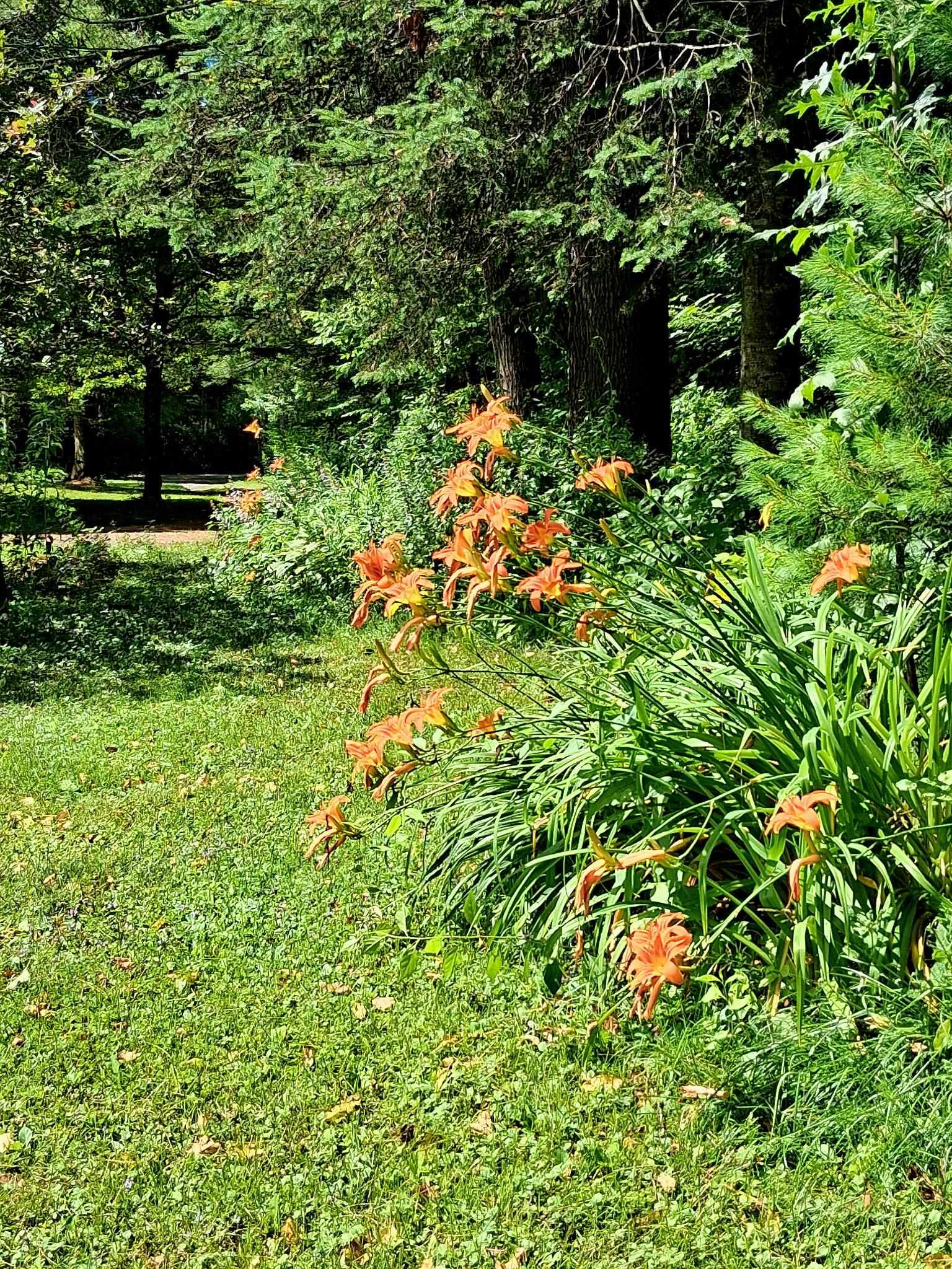 main property photo 43